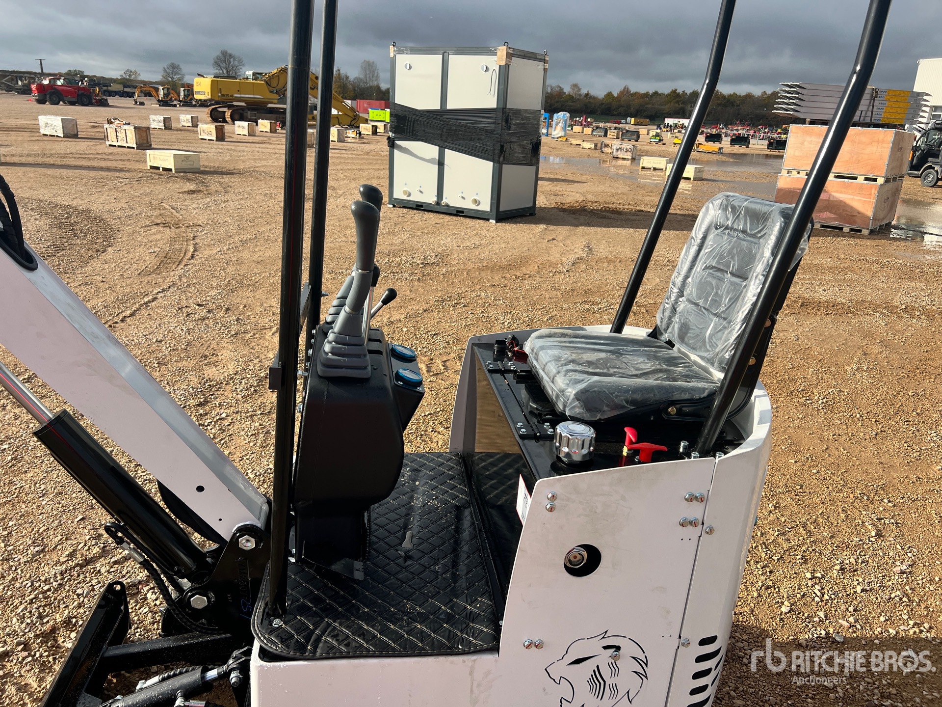 General Appearance with 