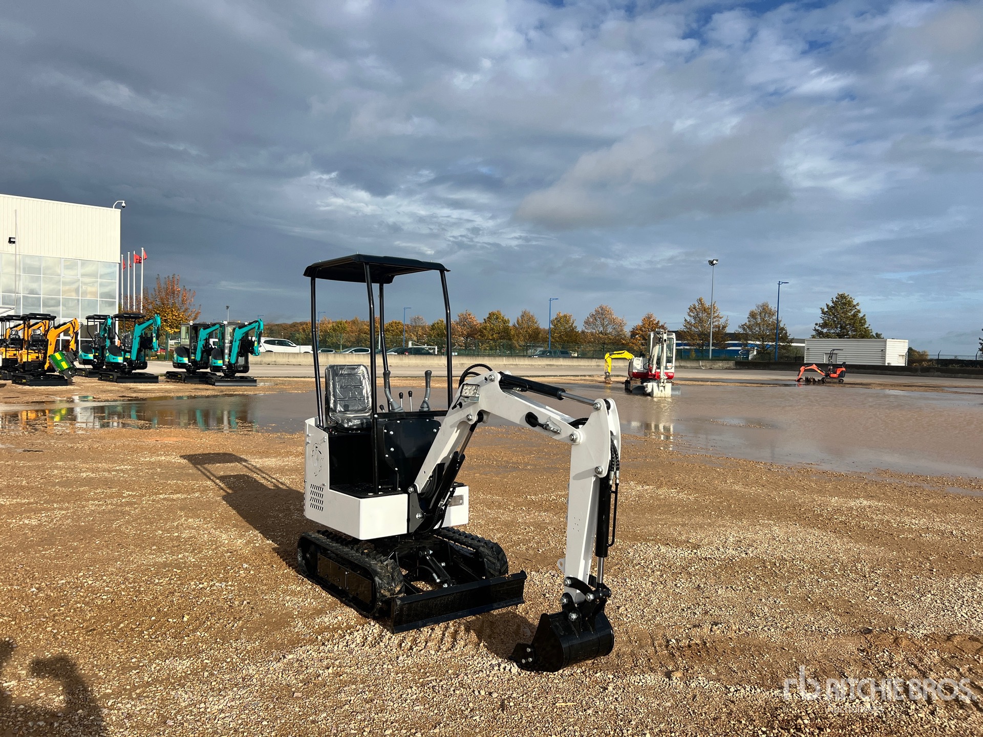 General Appearance with