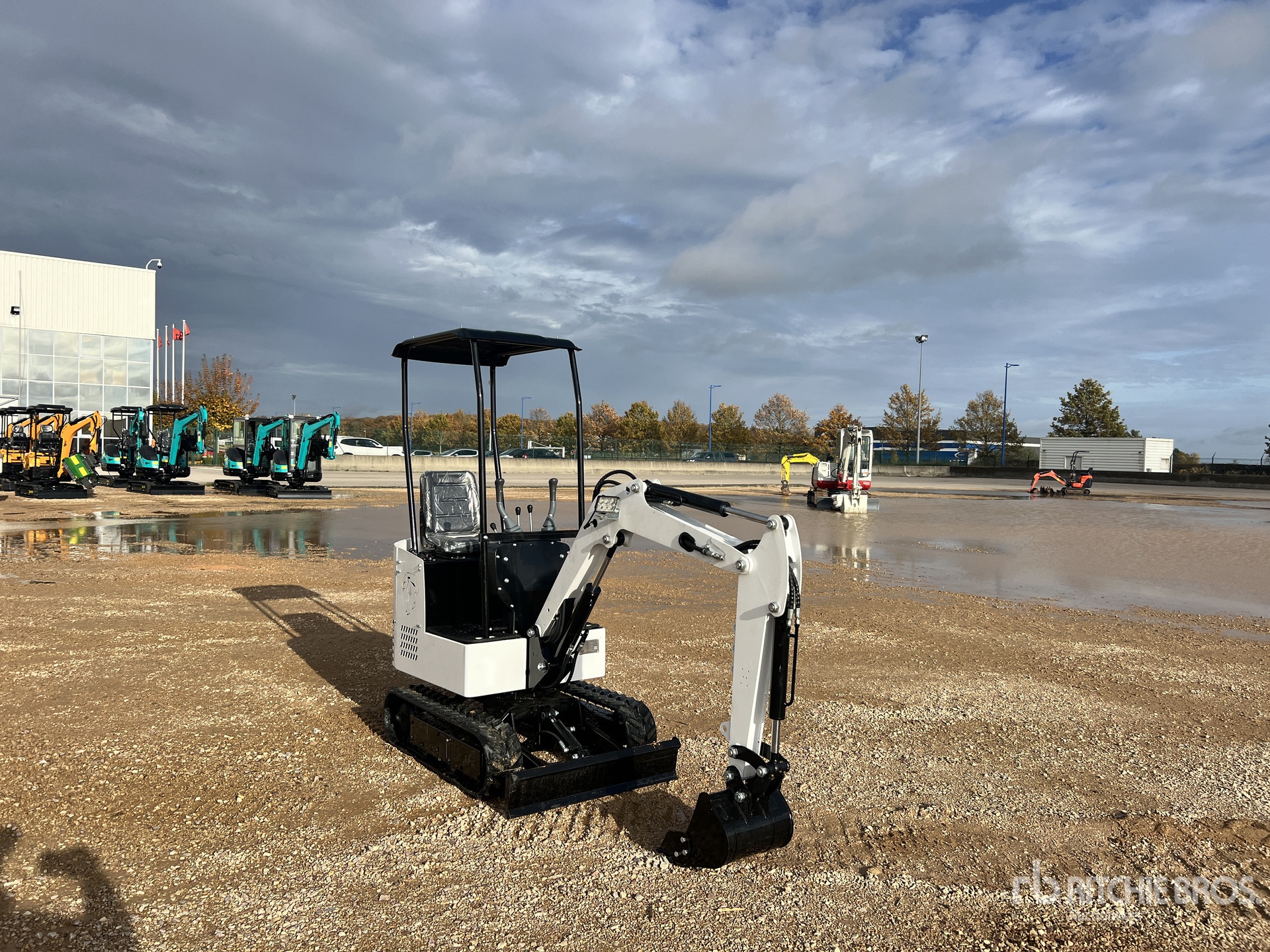 General Appearance with 