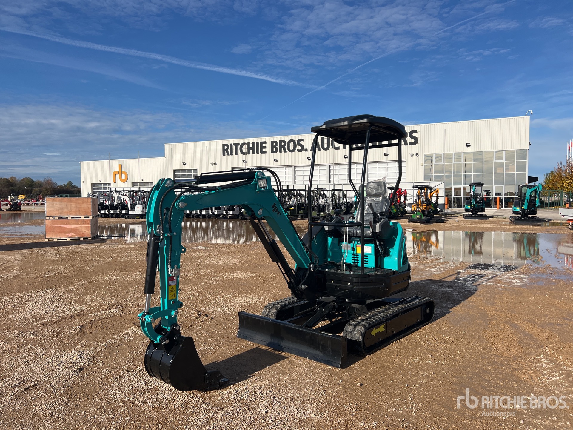 General Appearance with