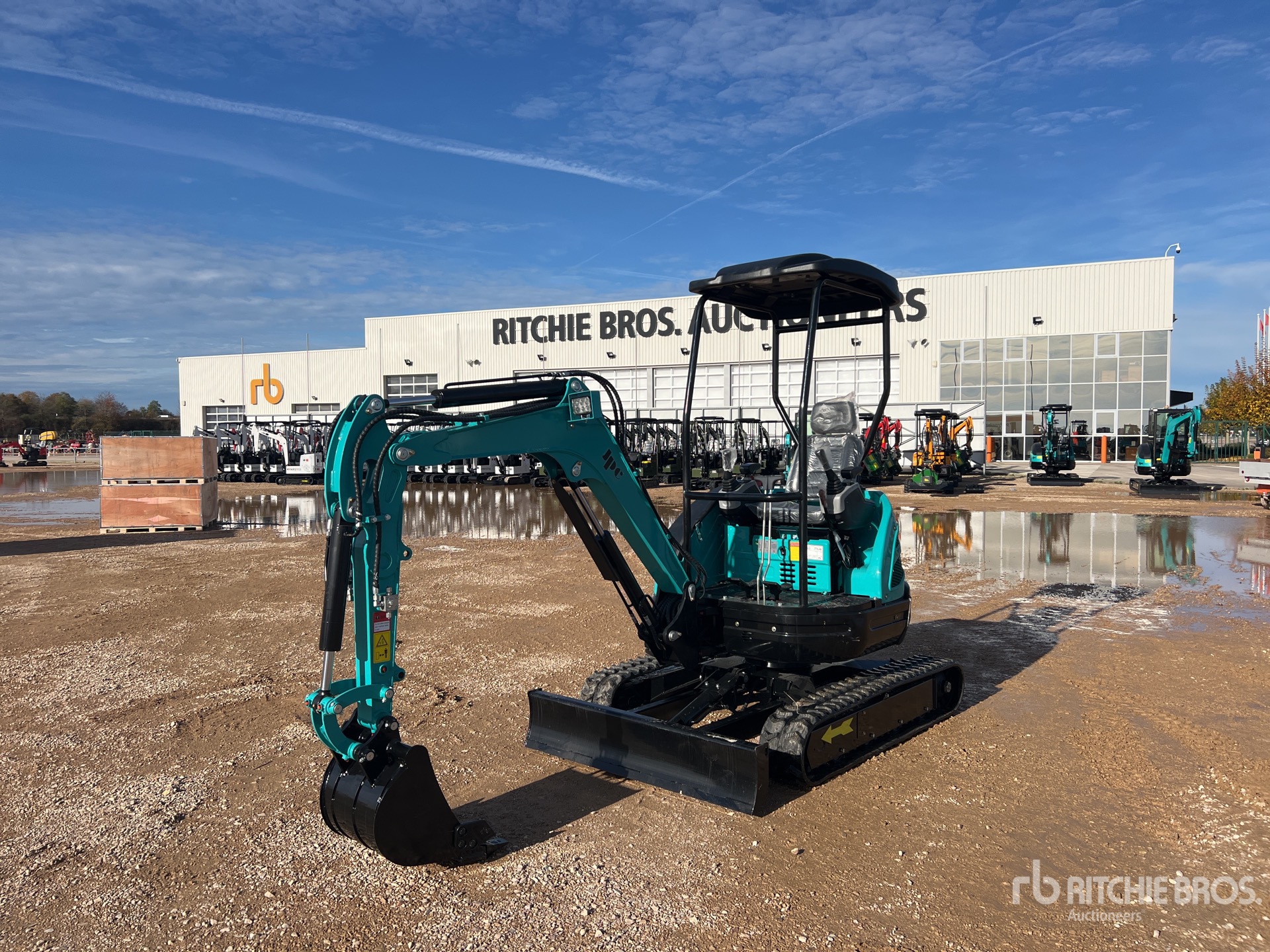 General Appearance with 