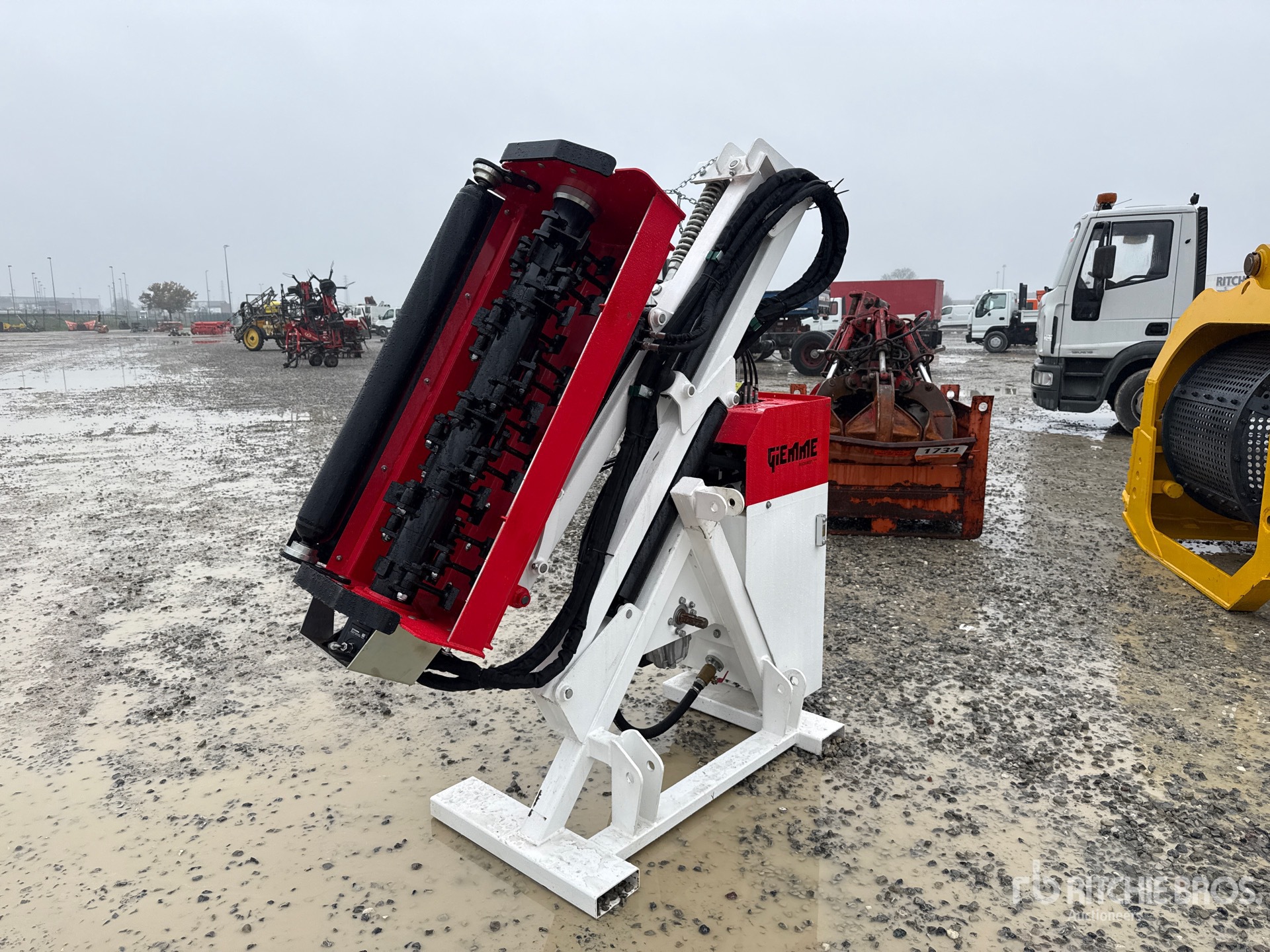 General Appearance with 