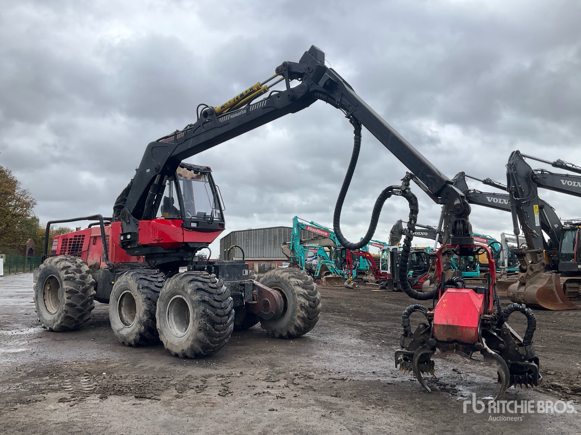 General Appearance with Zdjęcie, prawy górny róg