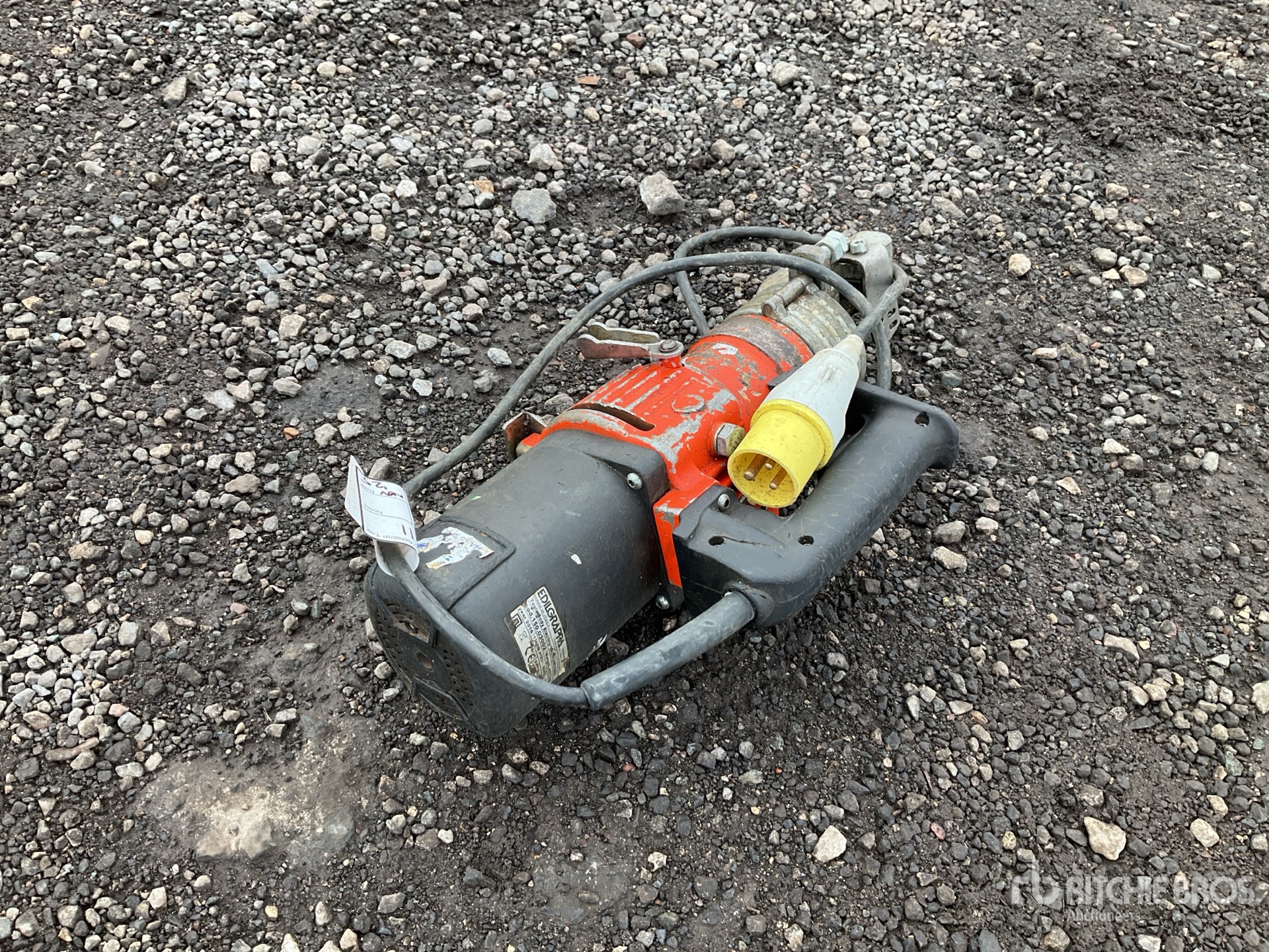 General Appearance with Zdjęcie, prawy dolny róg