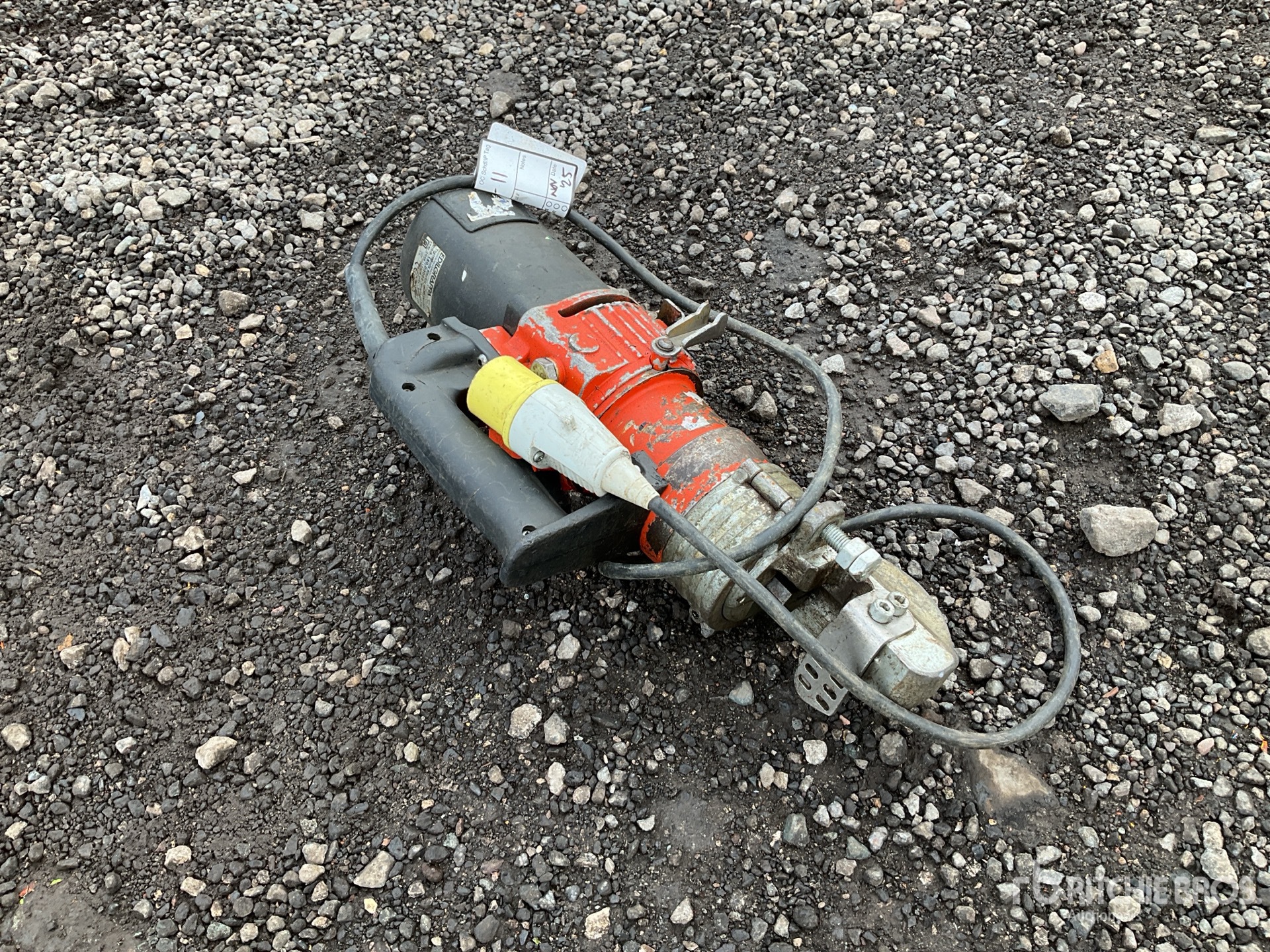 General Appearance with Zdjęcie, lewy dolny róg