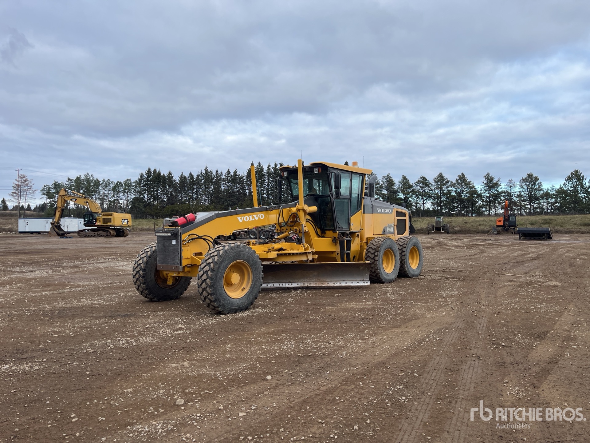 General Appearance with Spin