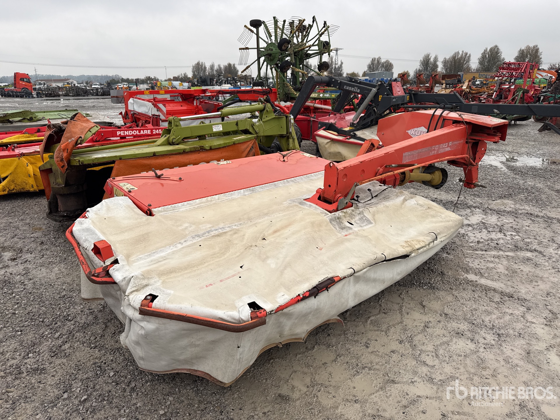 General Appearance with