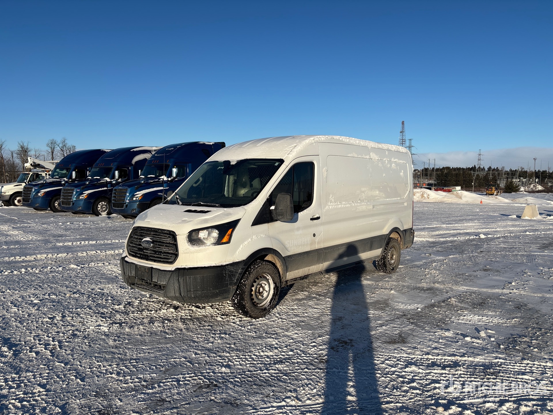 General Appearance with Spin