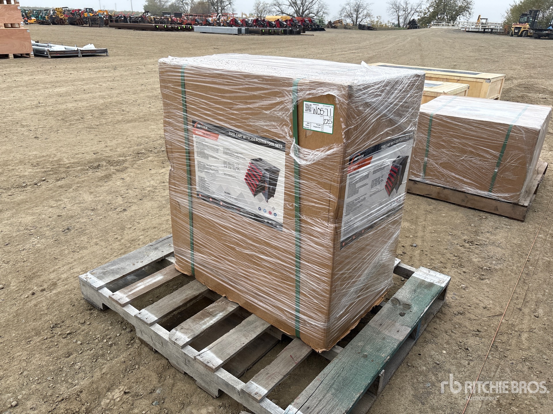 General Appearance with