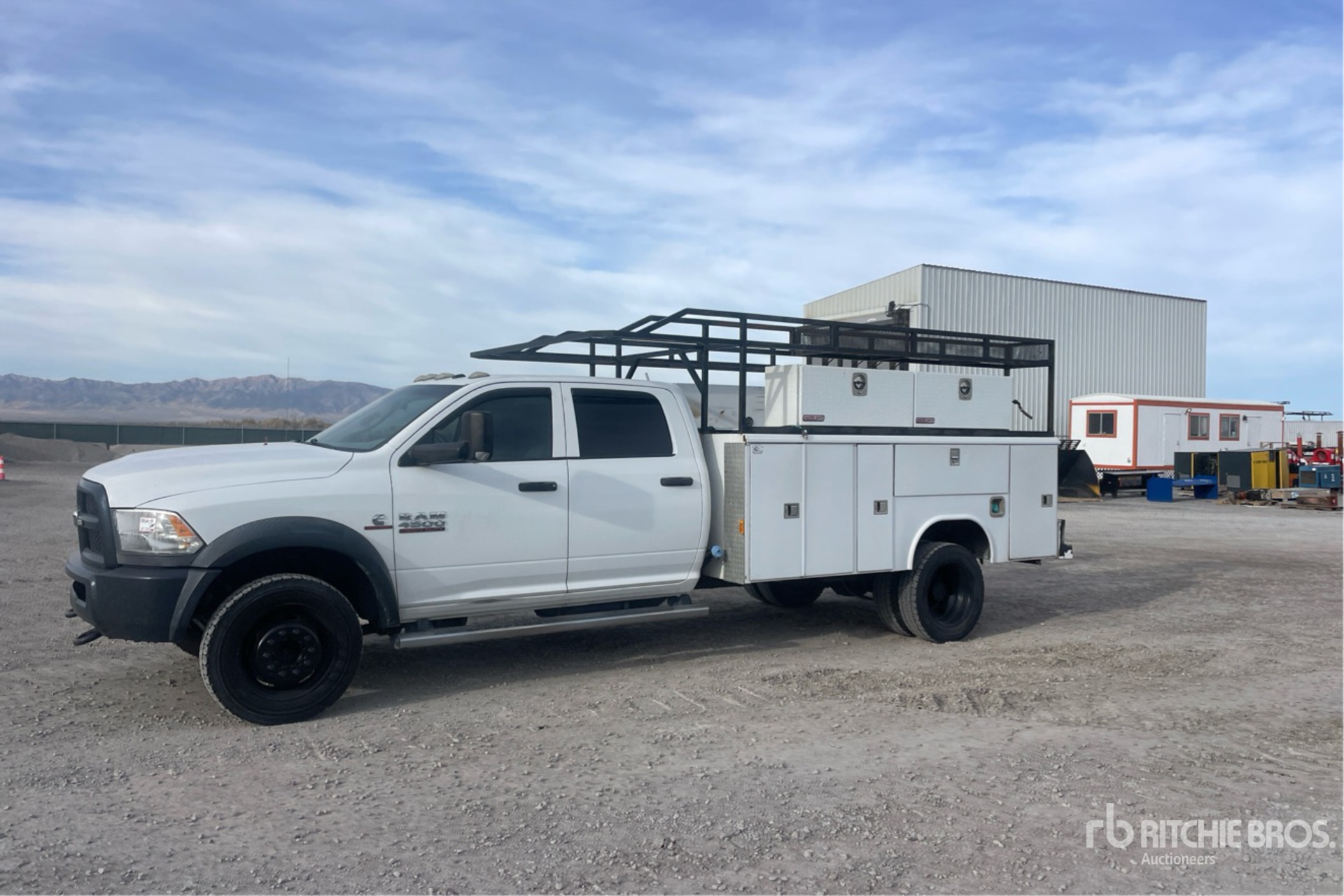 General Appearance with Spin