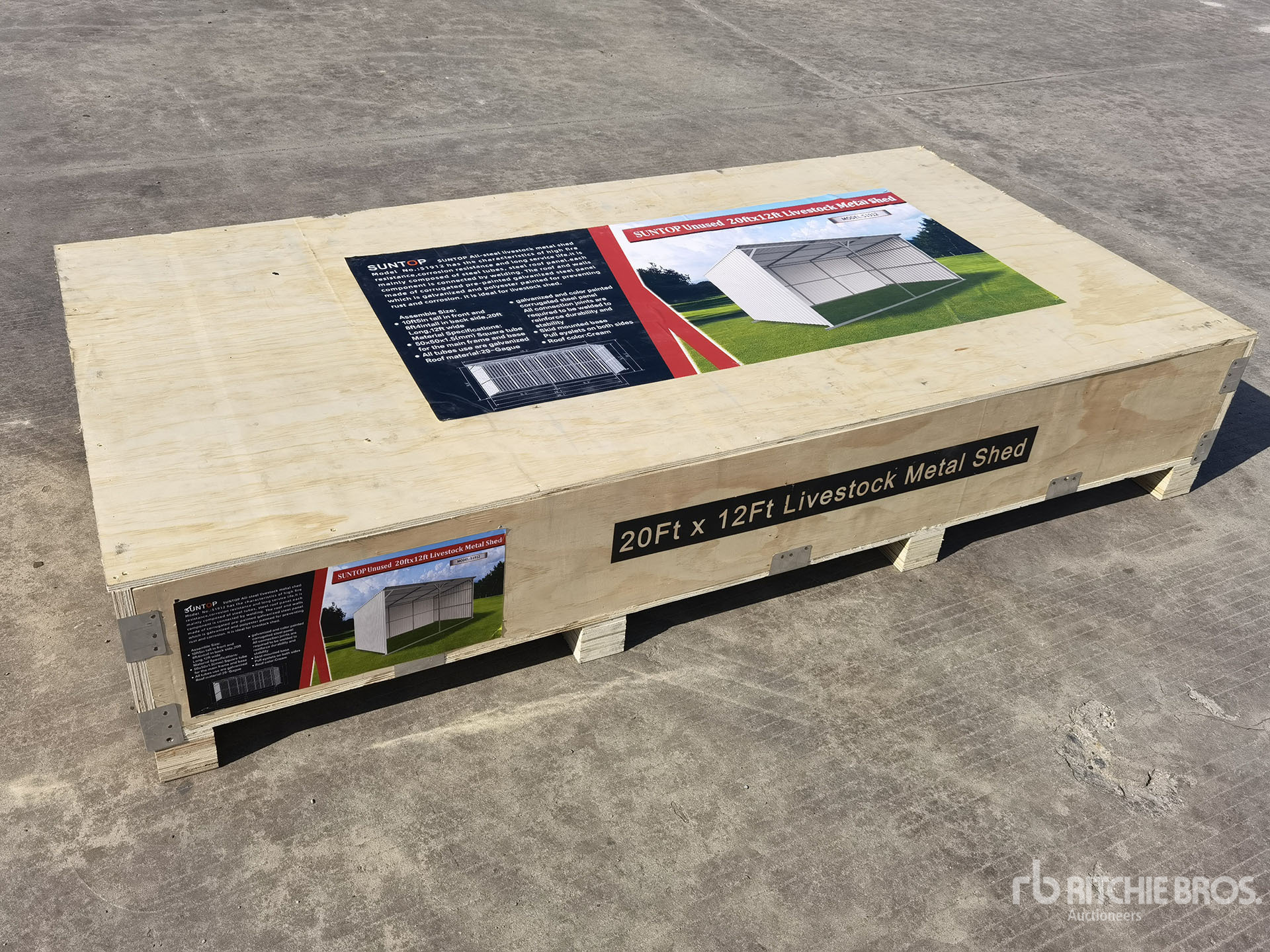 General Appearance with 