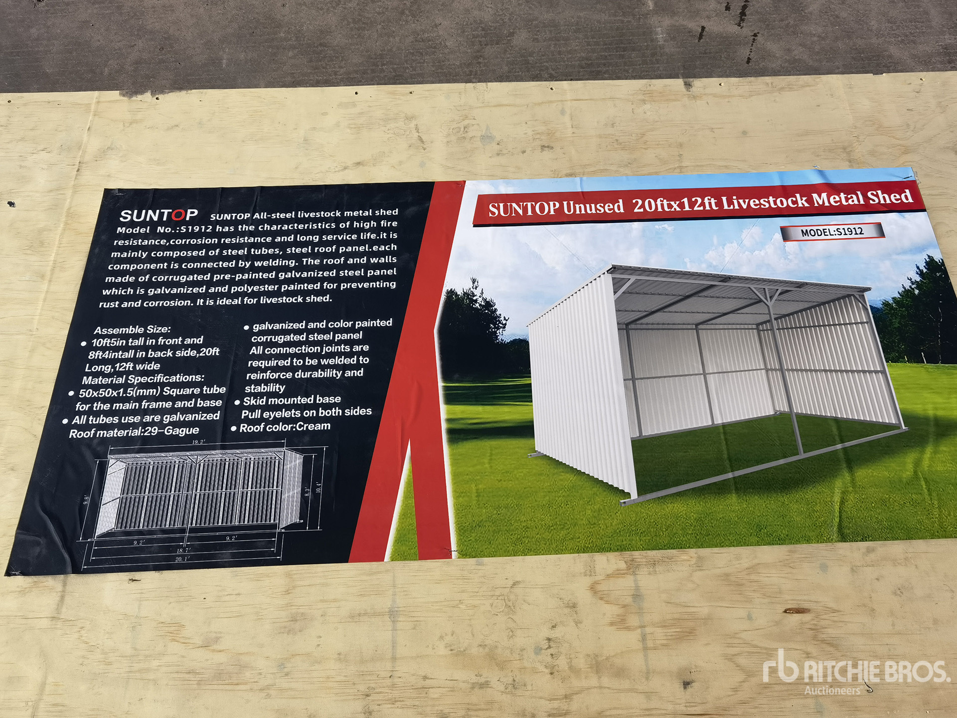 General Appearance with 