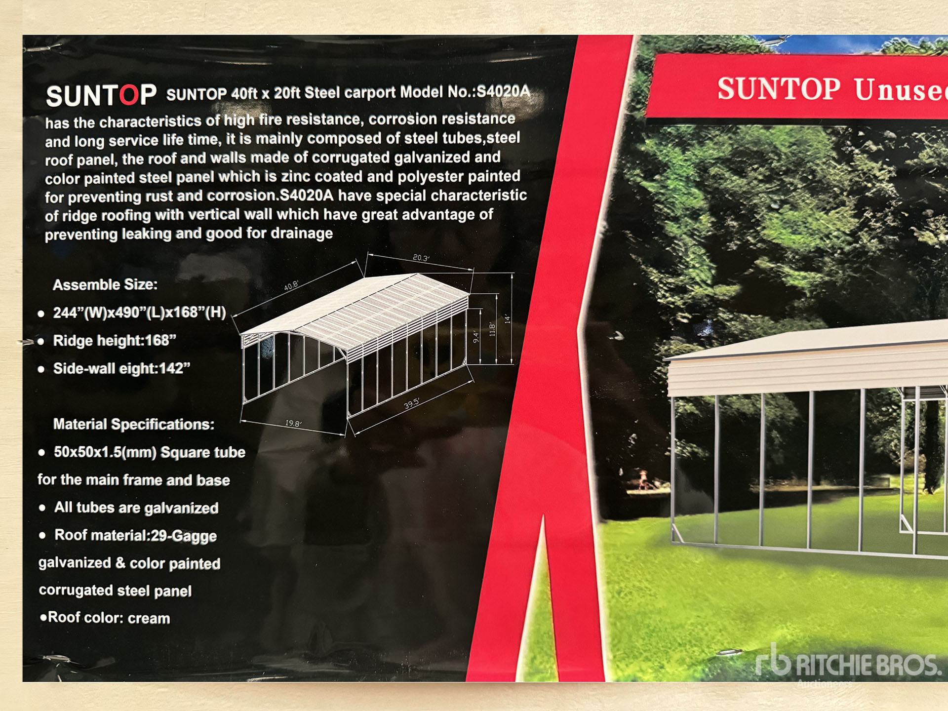 General Appearance with 