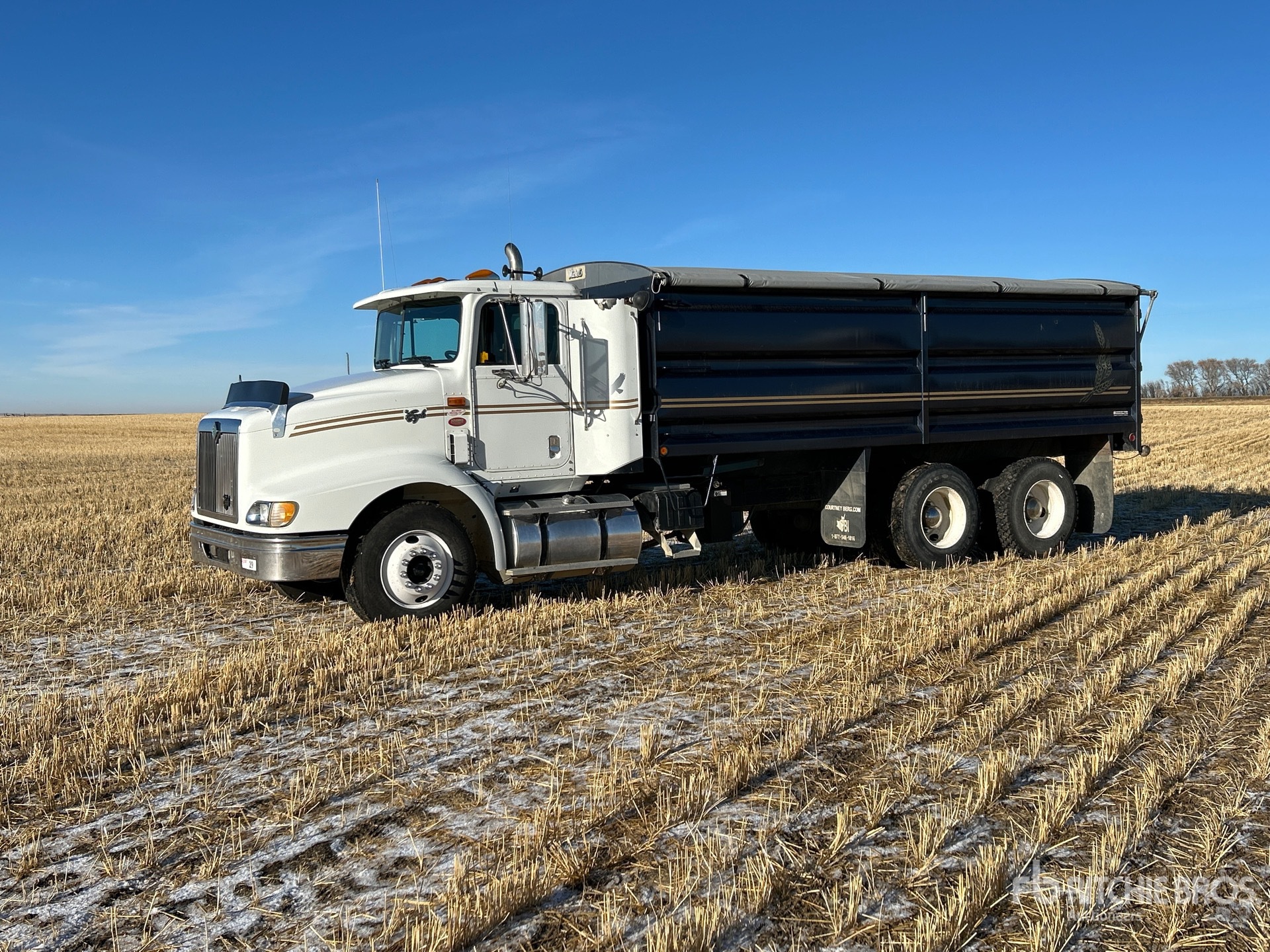 General Appearance with Spin