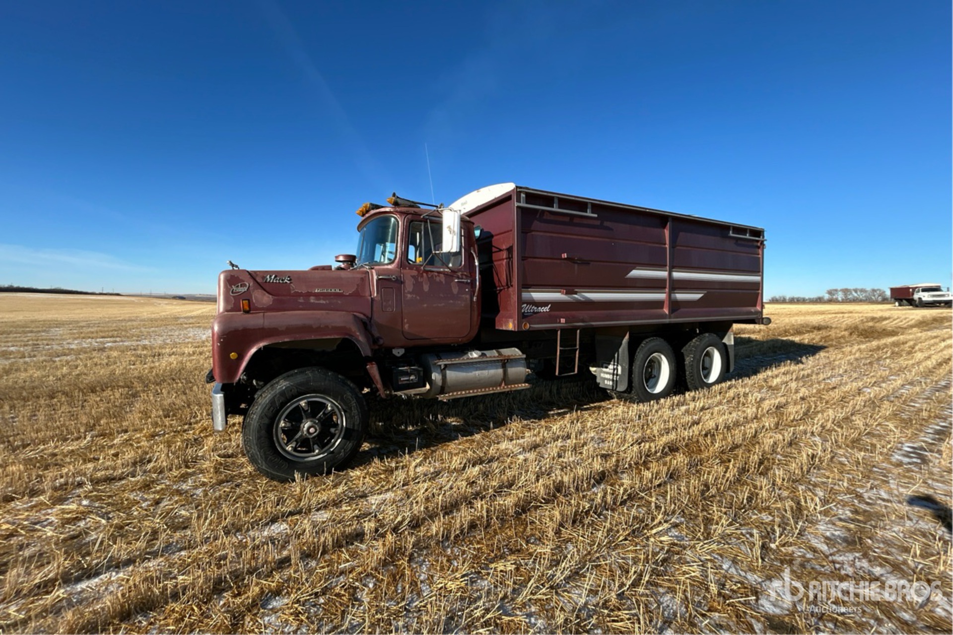 General Appearance with Spin