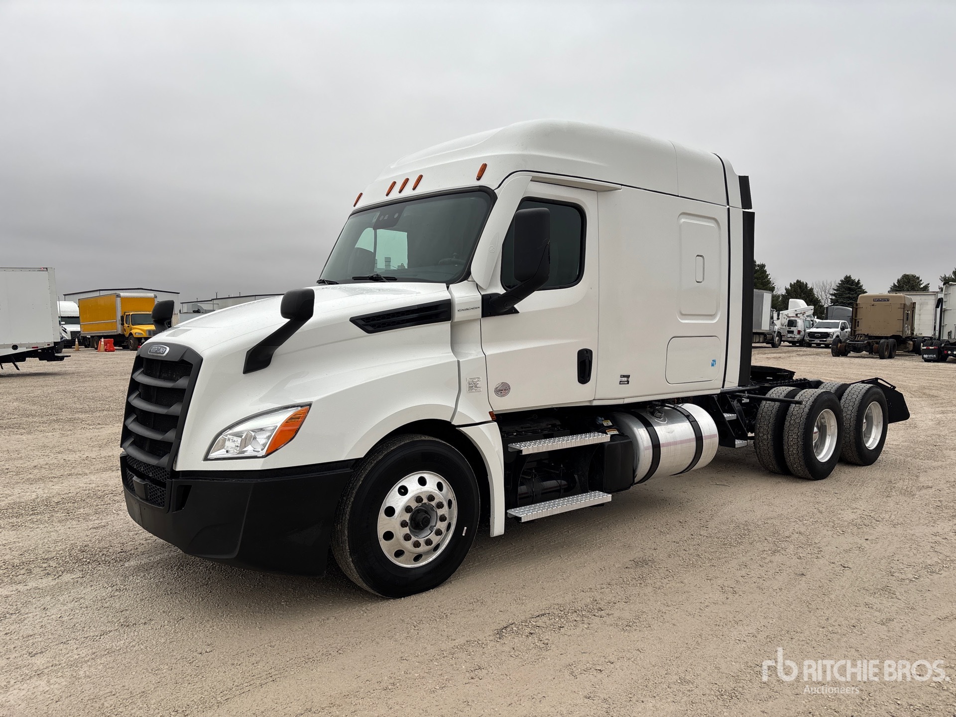 General Appearance with Spin