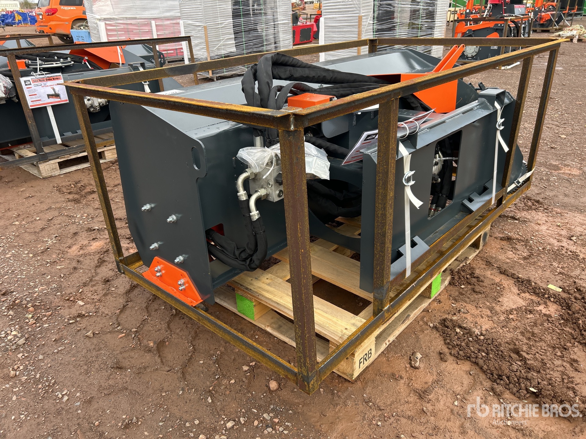 General Appearance with Zdjęcie, lewy dolny róg