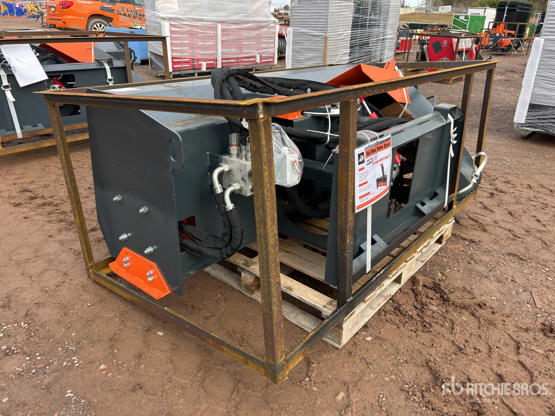 General Appearance with Zdjęcie, lewy dolny róg