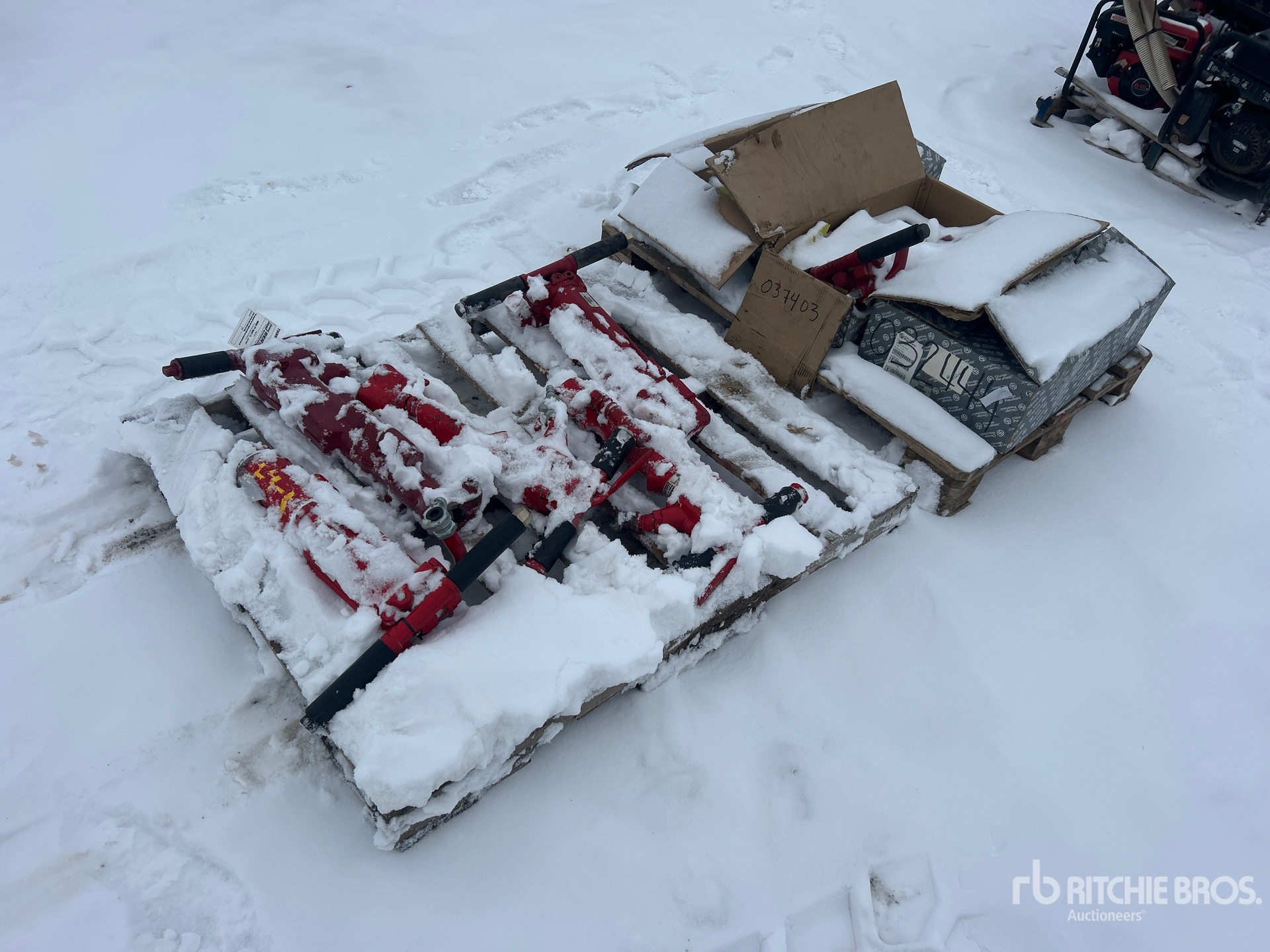 General Appearance with Image, coin avant droit