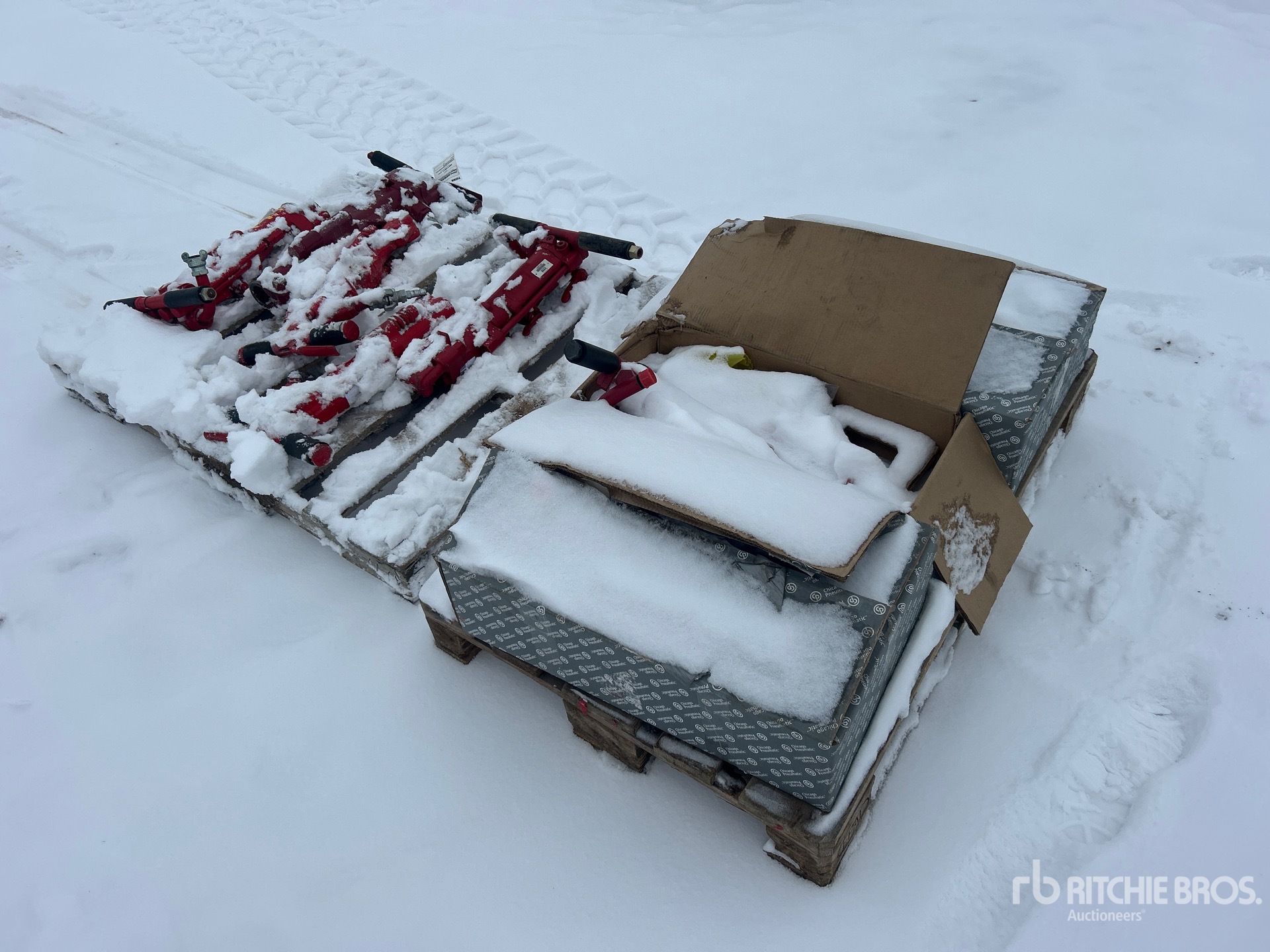 General Appearance with Image, coin avant gauche