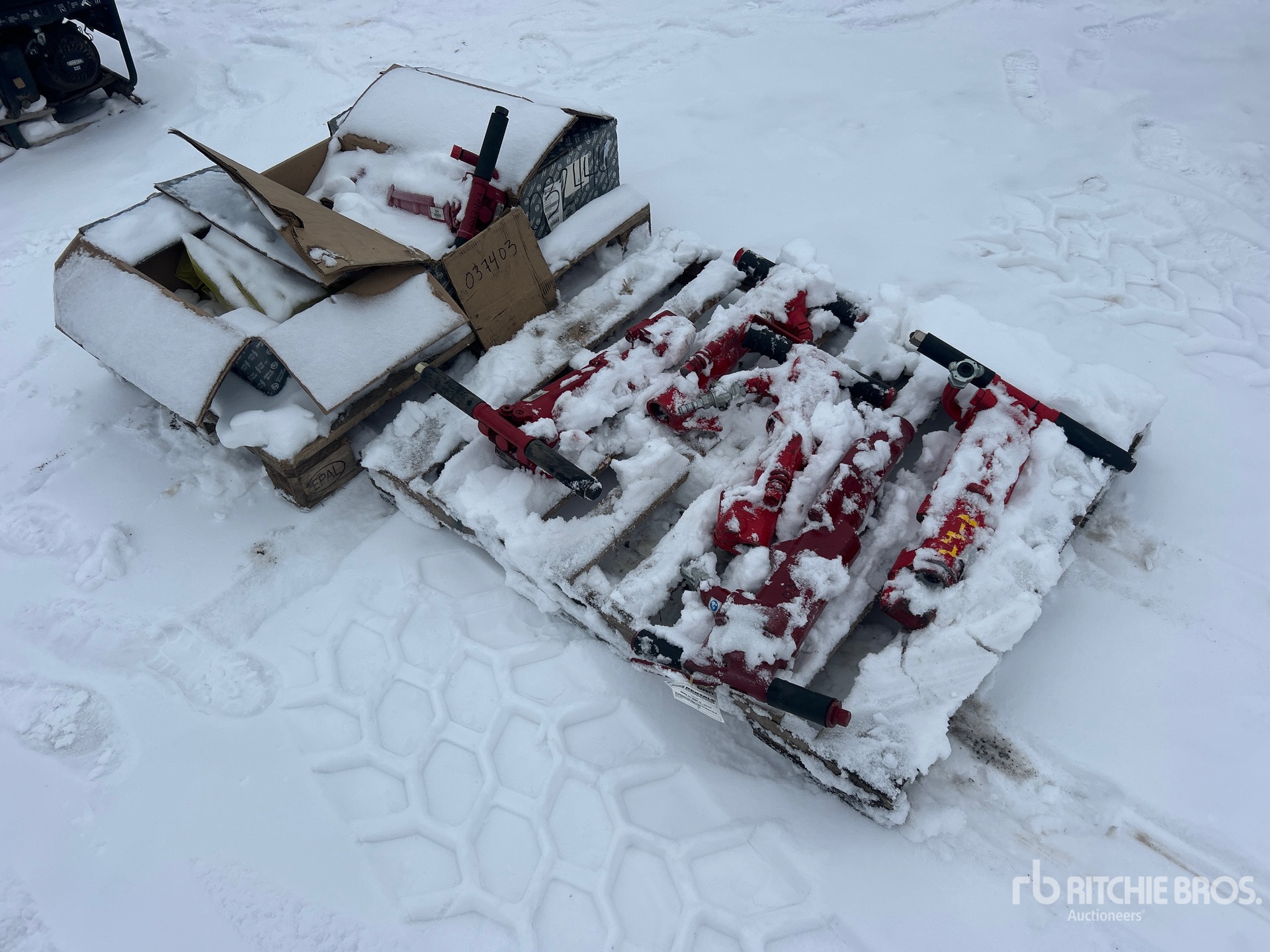 General Appearance with Image, coin arrière droit