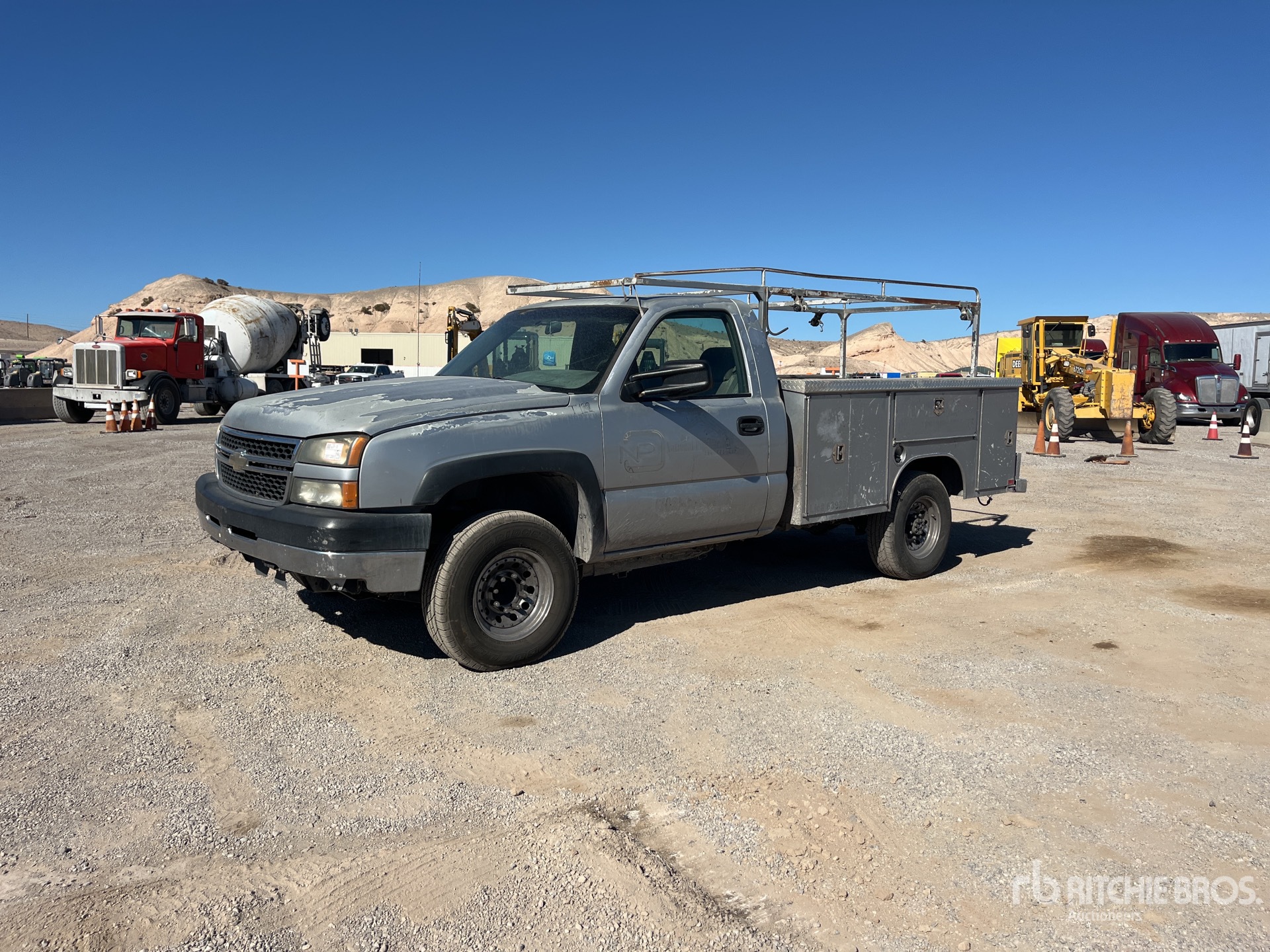 General Appearance with Spin