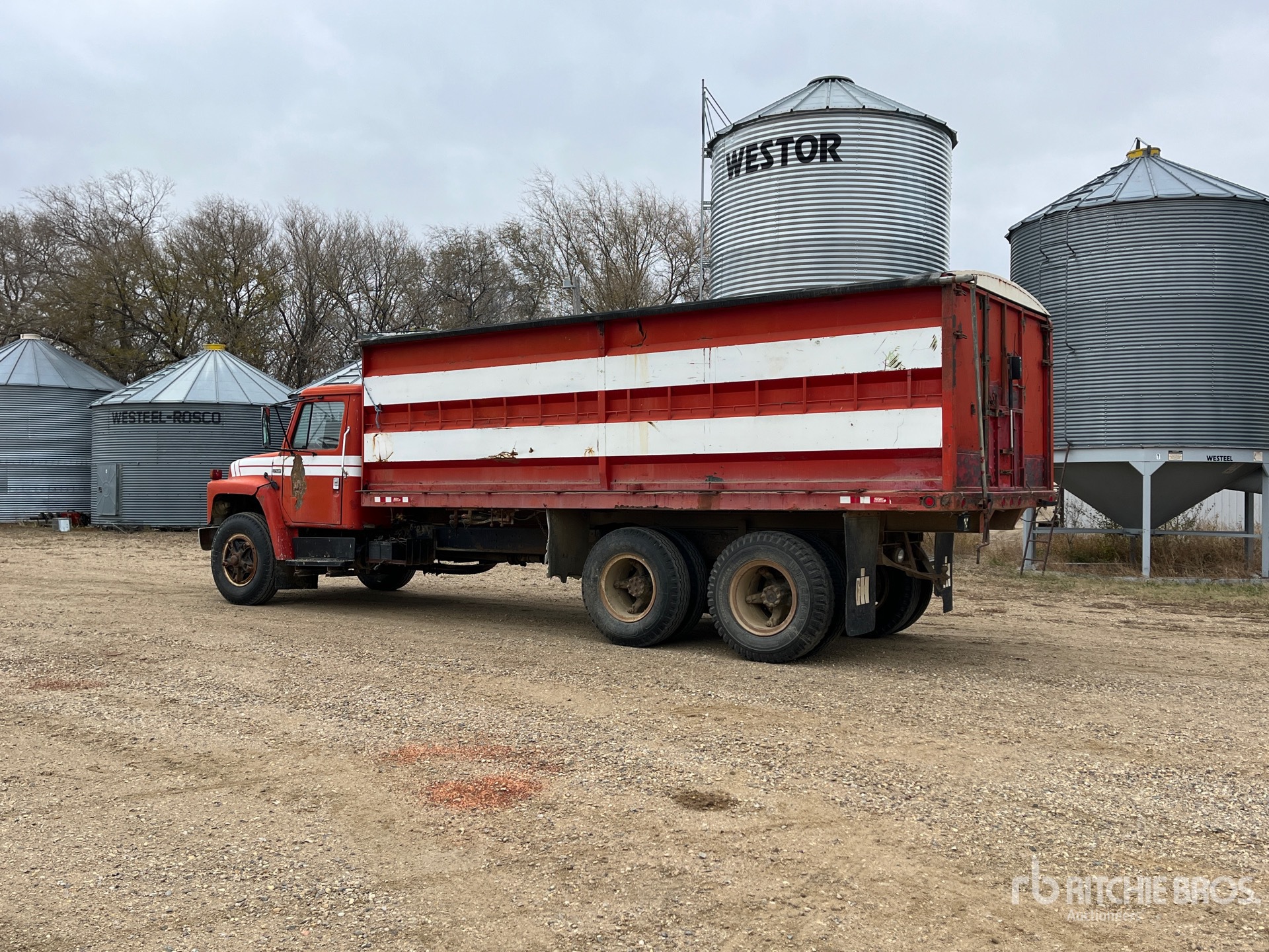 General Appearance with Imagen: esquina trasera izquierda