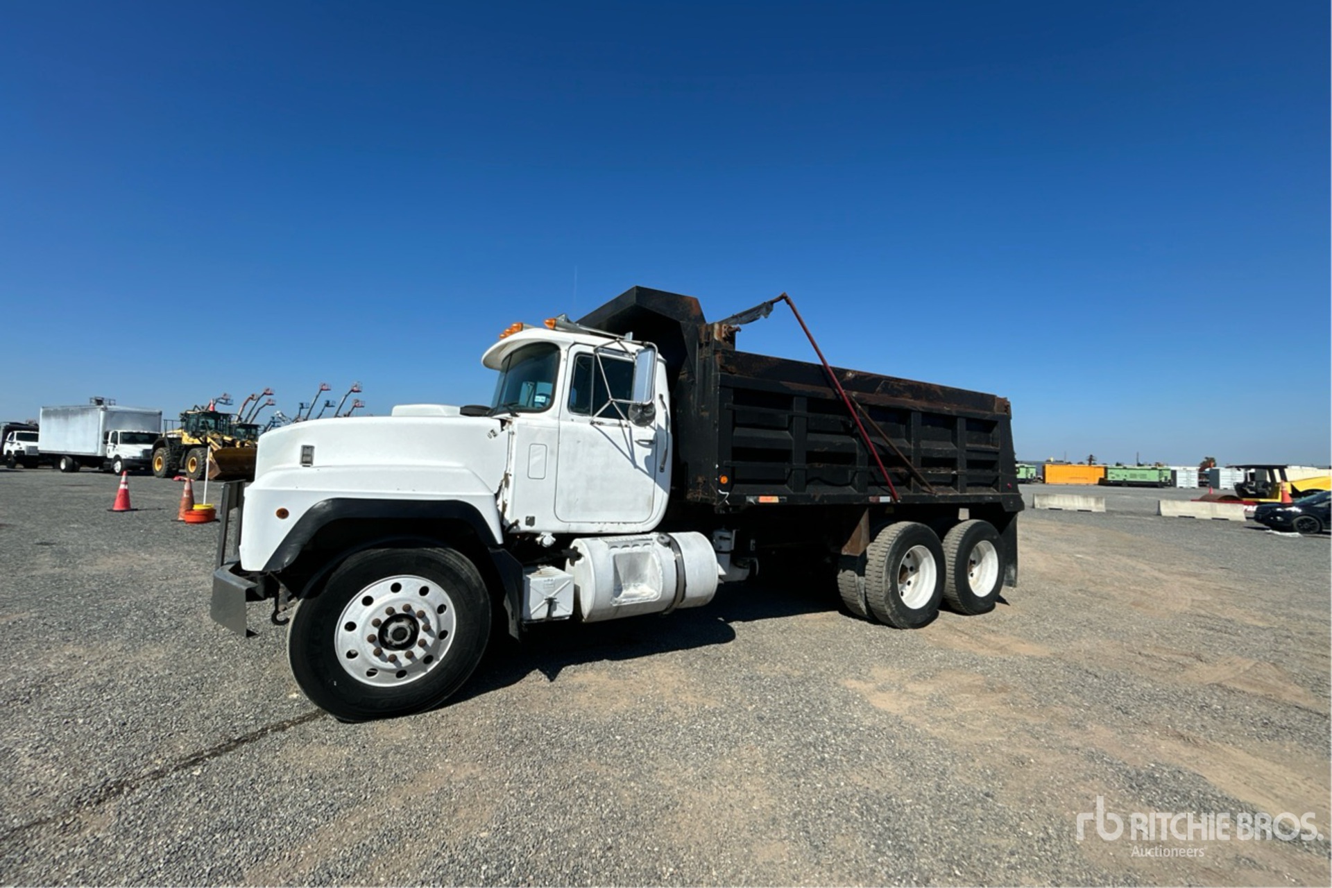 General Appearance with Spin