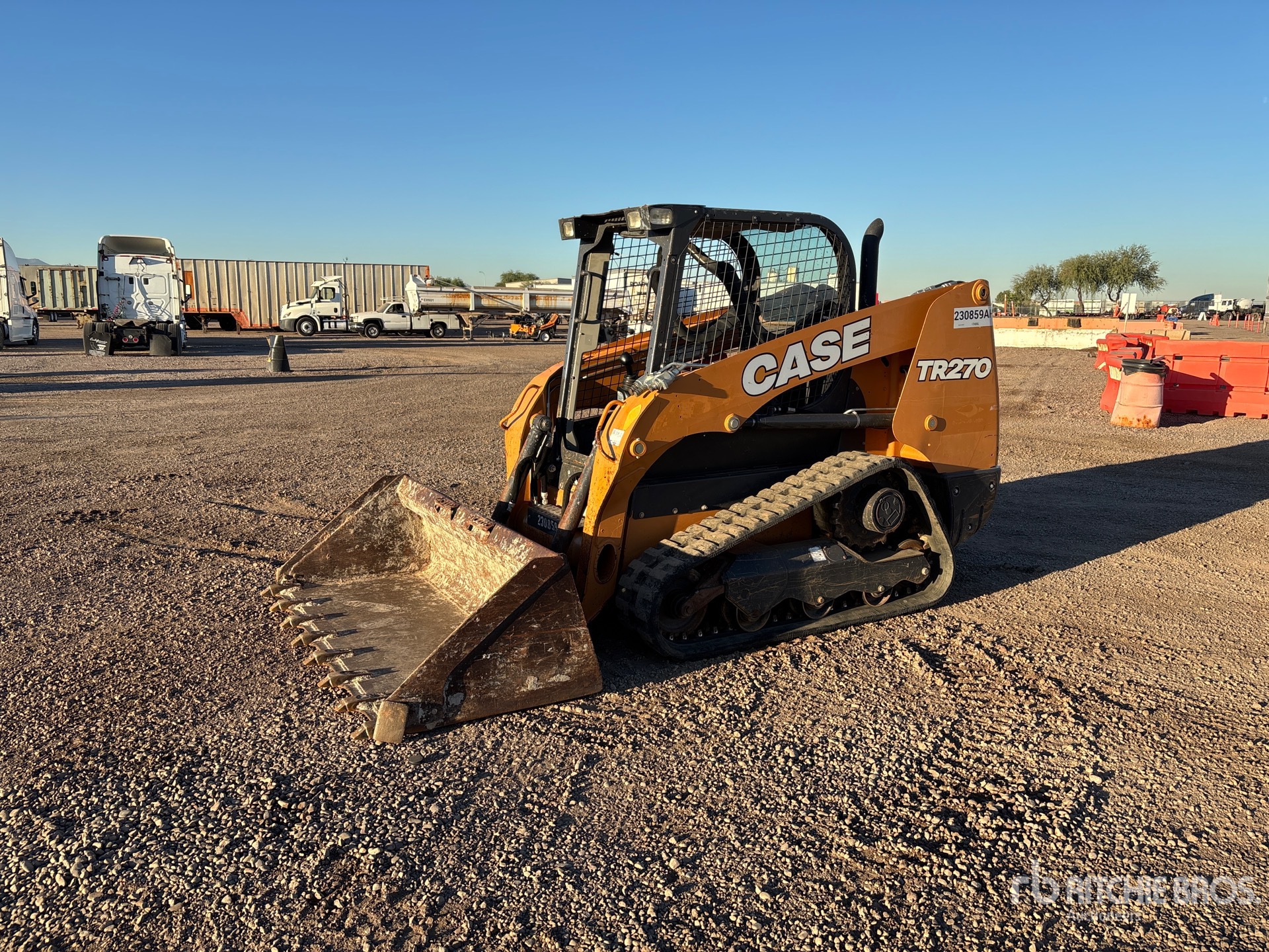 General Appearance with Spin