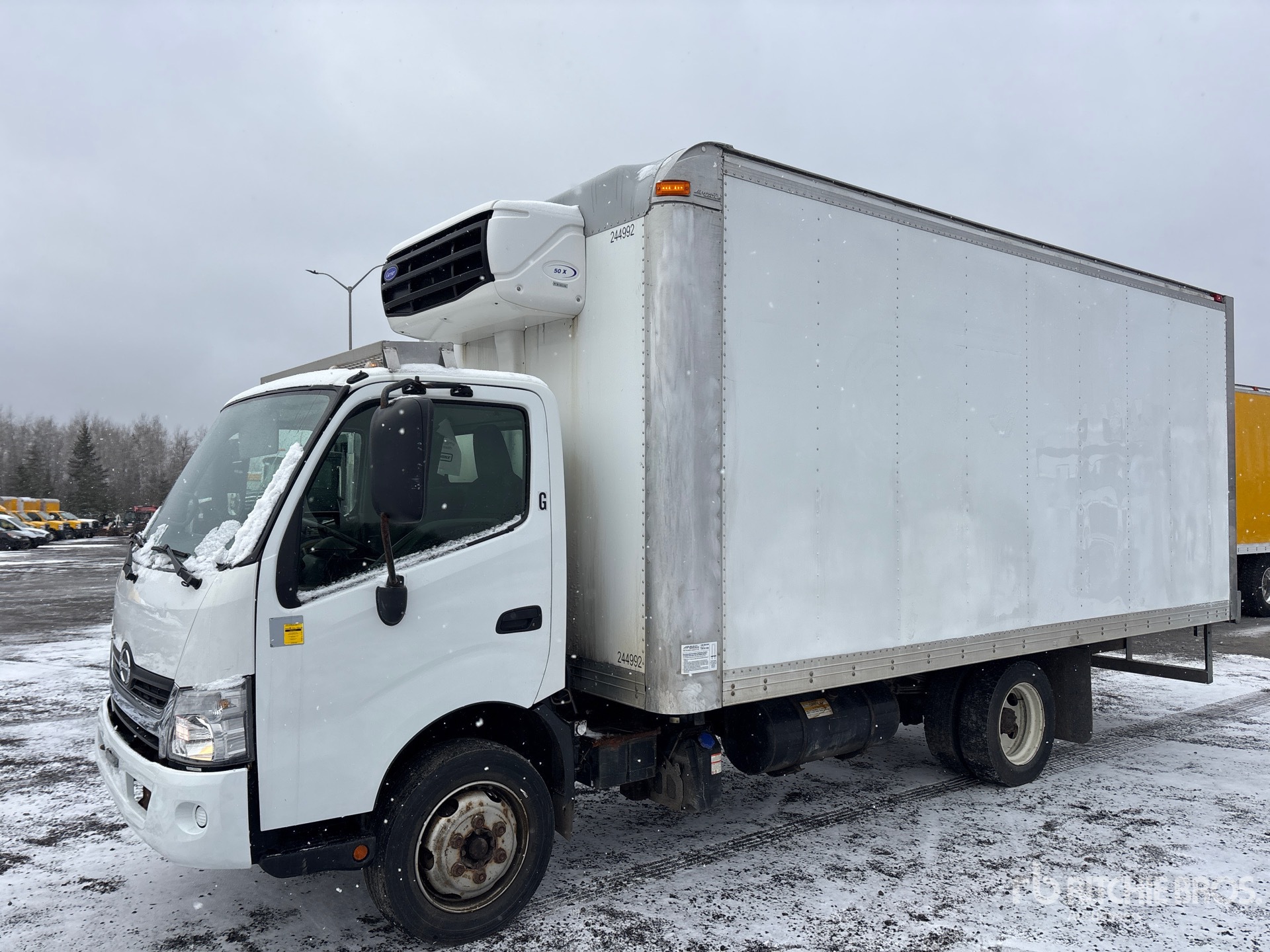 General Appearance with Spin