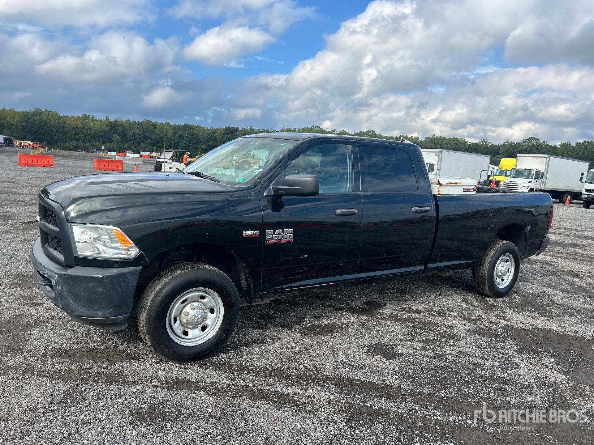 General Appearance with Spin