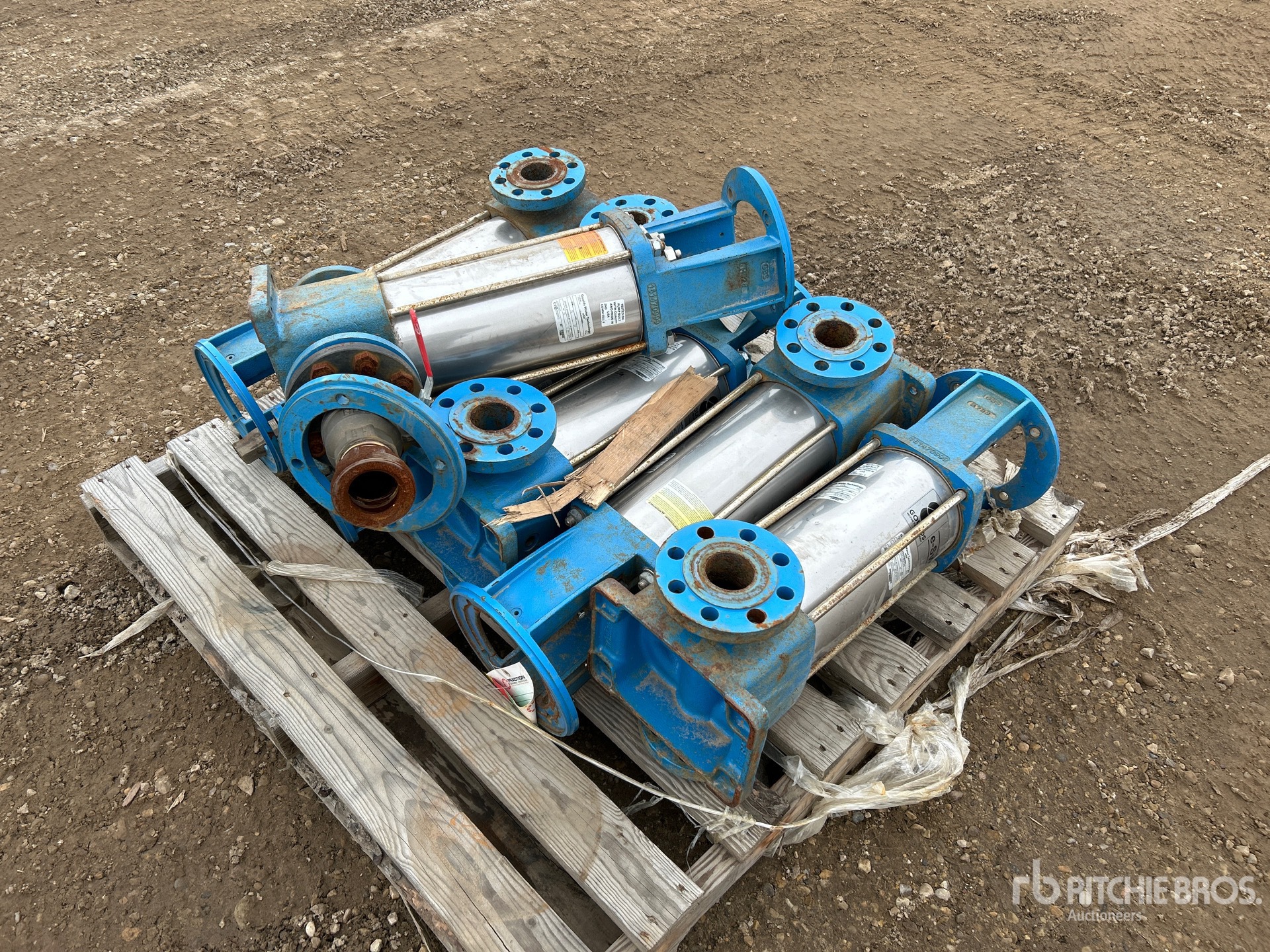 General Appearance with Foto, angolo anteriore sinistro