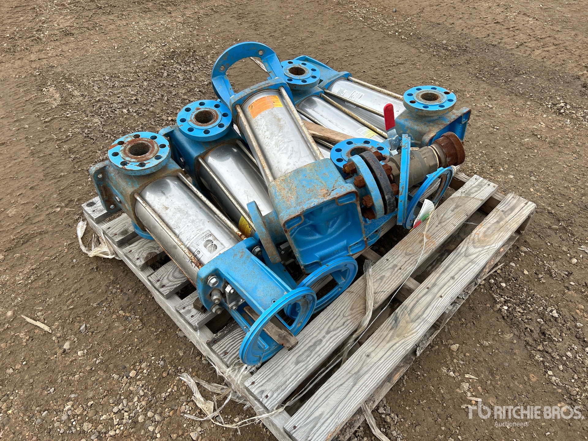 General Appearance with Foto, angolo posteriore sinistro