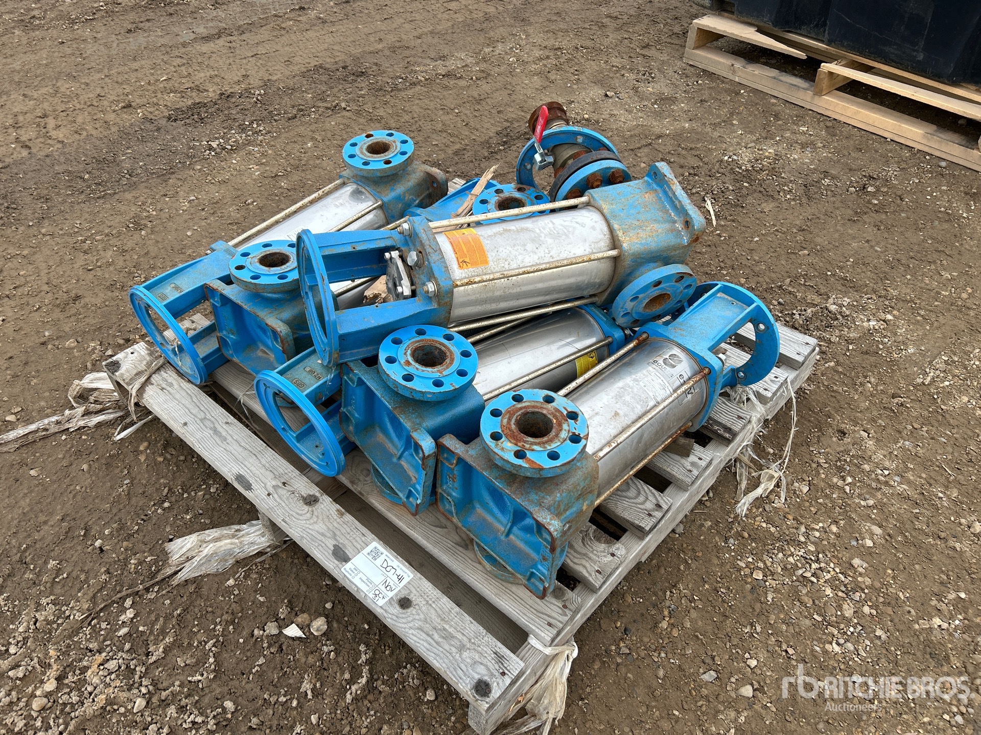 General Appearance with Foto, angolo anteriore sinistro