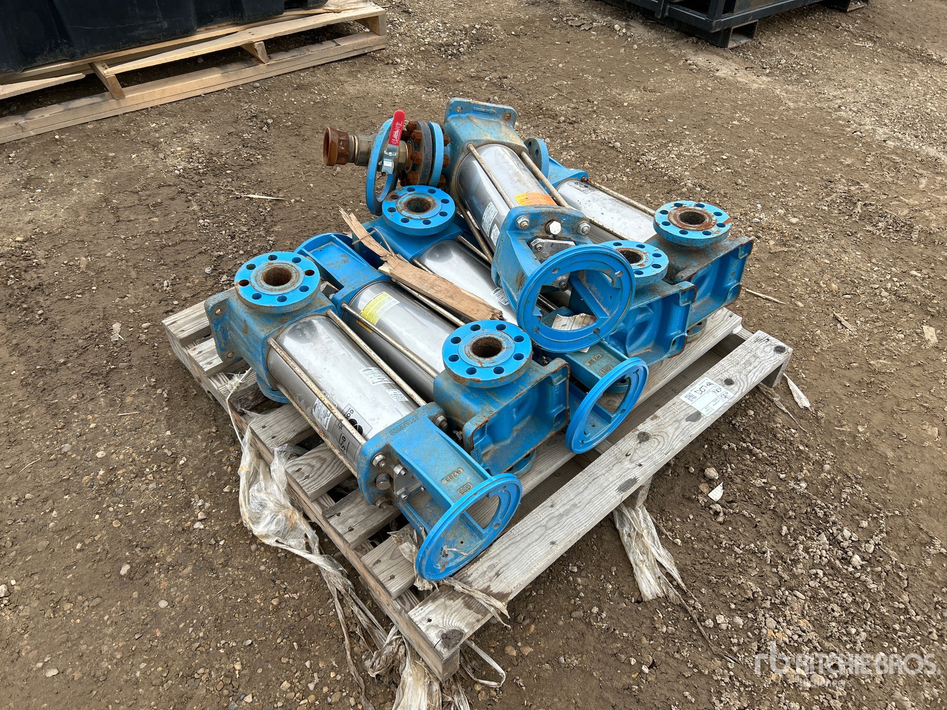 General Appearance with Foto, angolo anteriore destro