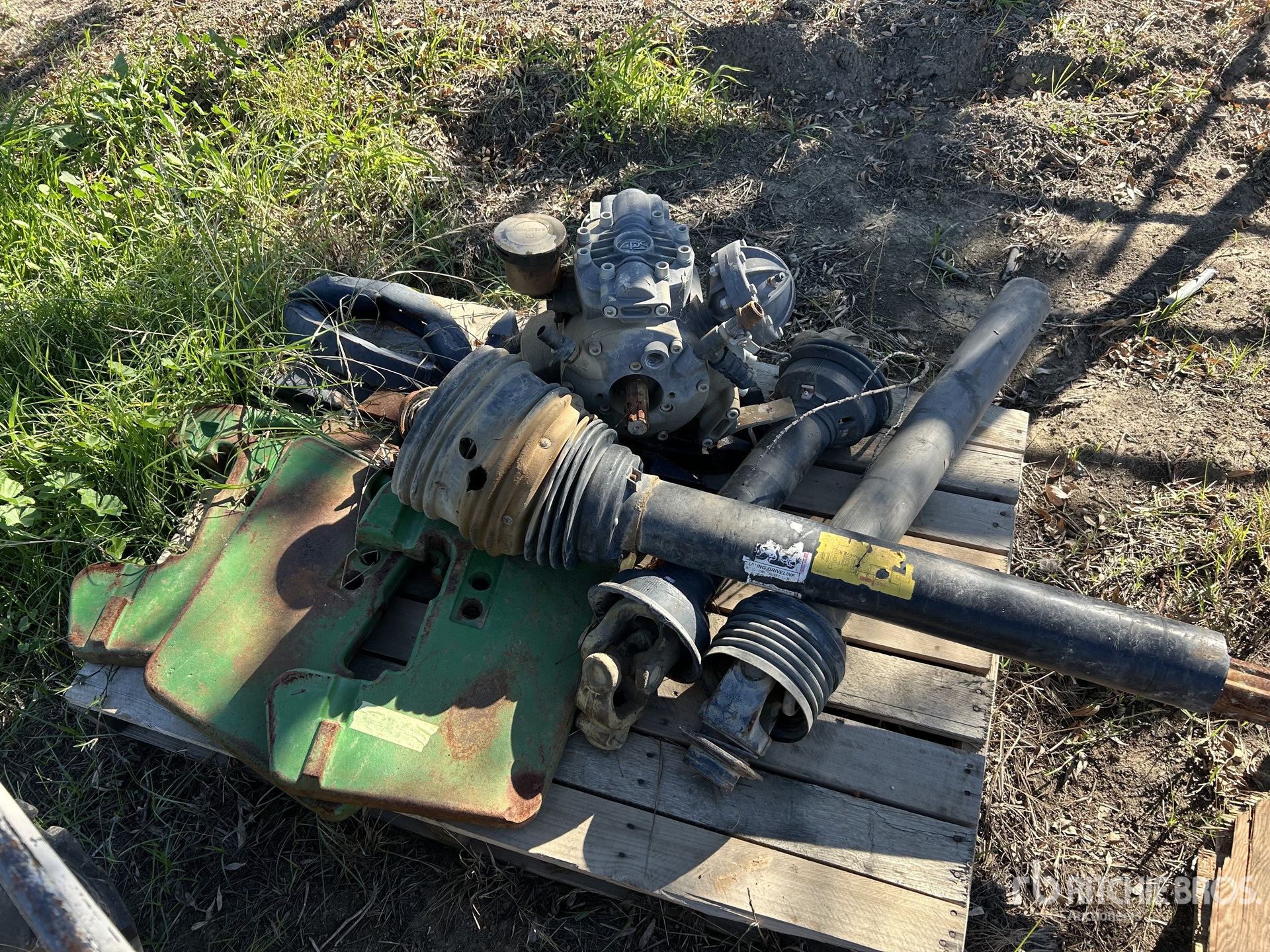 General Appearance with 