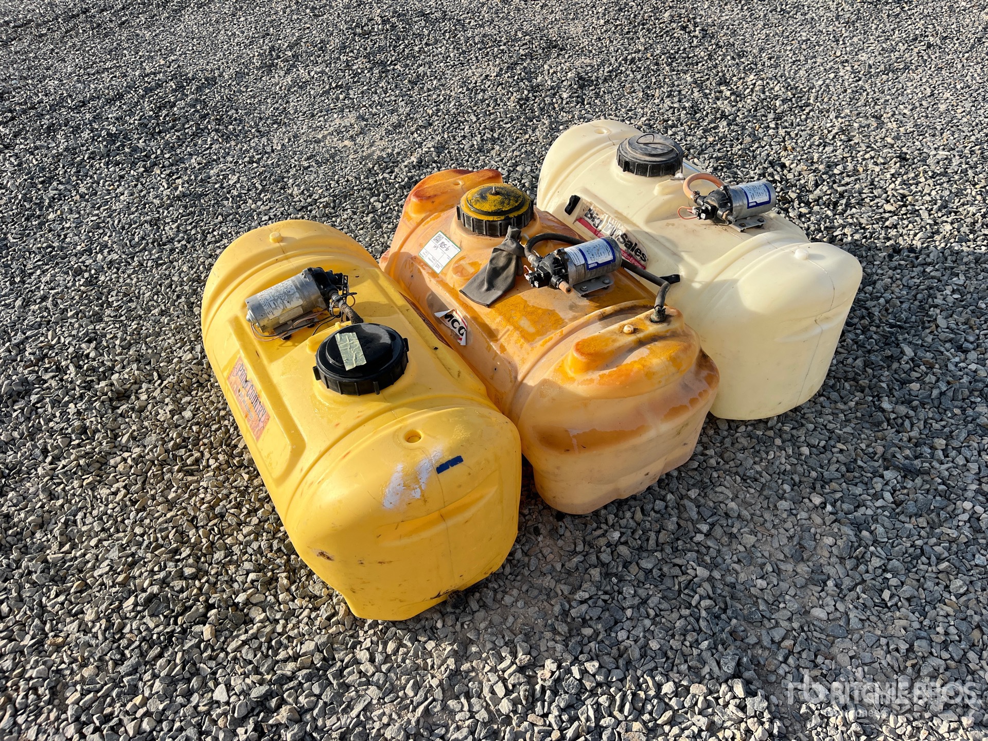 General Appearance with Zdjęcie, lewy dolny róg