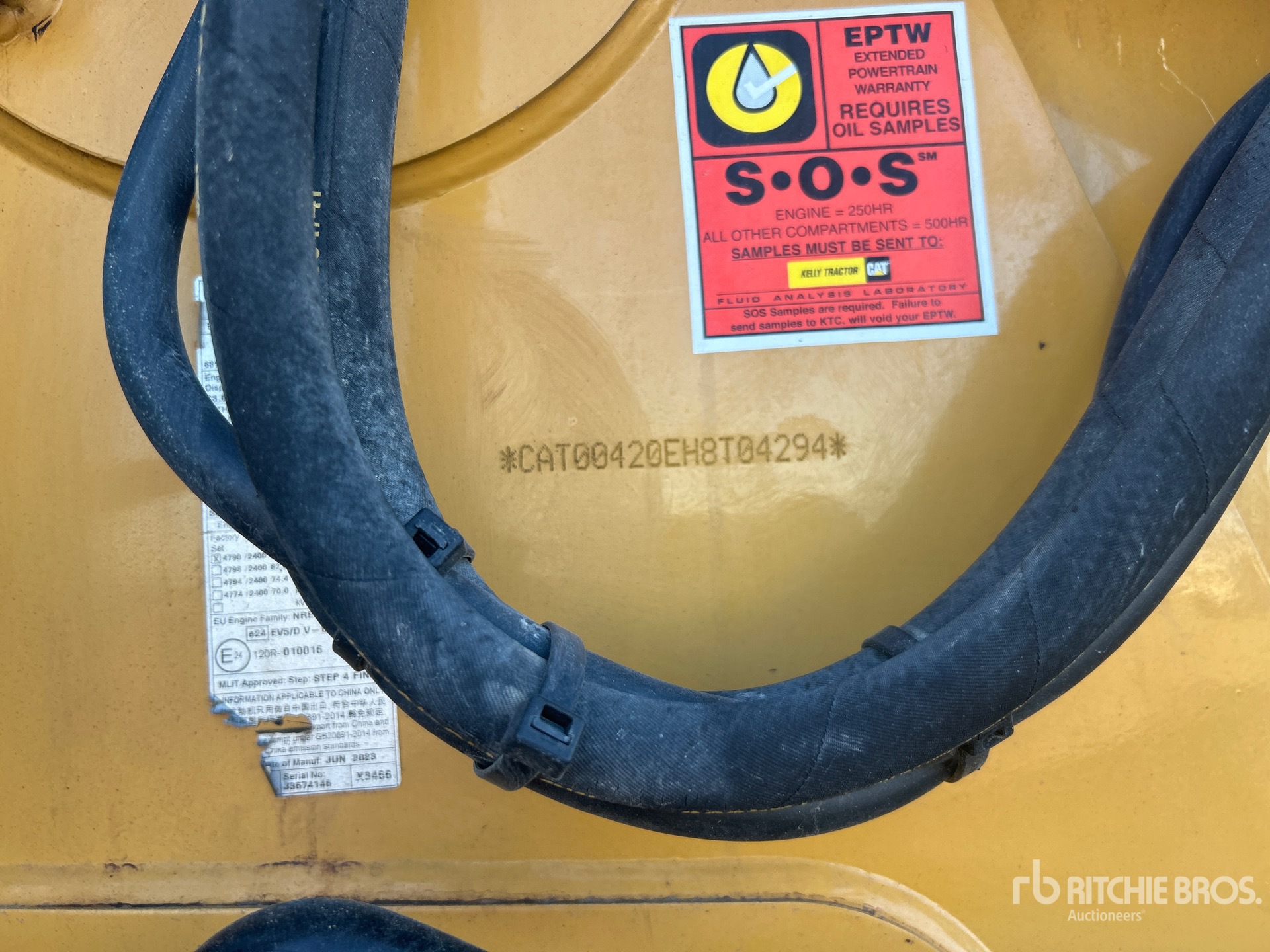 General Appearance with 