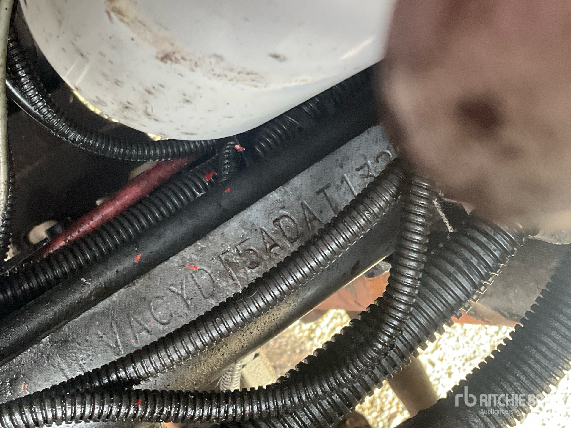 General Appearance with Numero seriale/numero d’identificazione del veicolo (VIN)