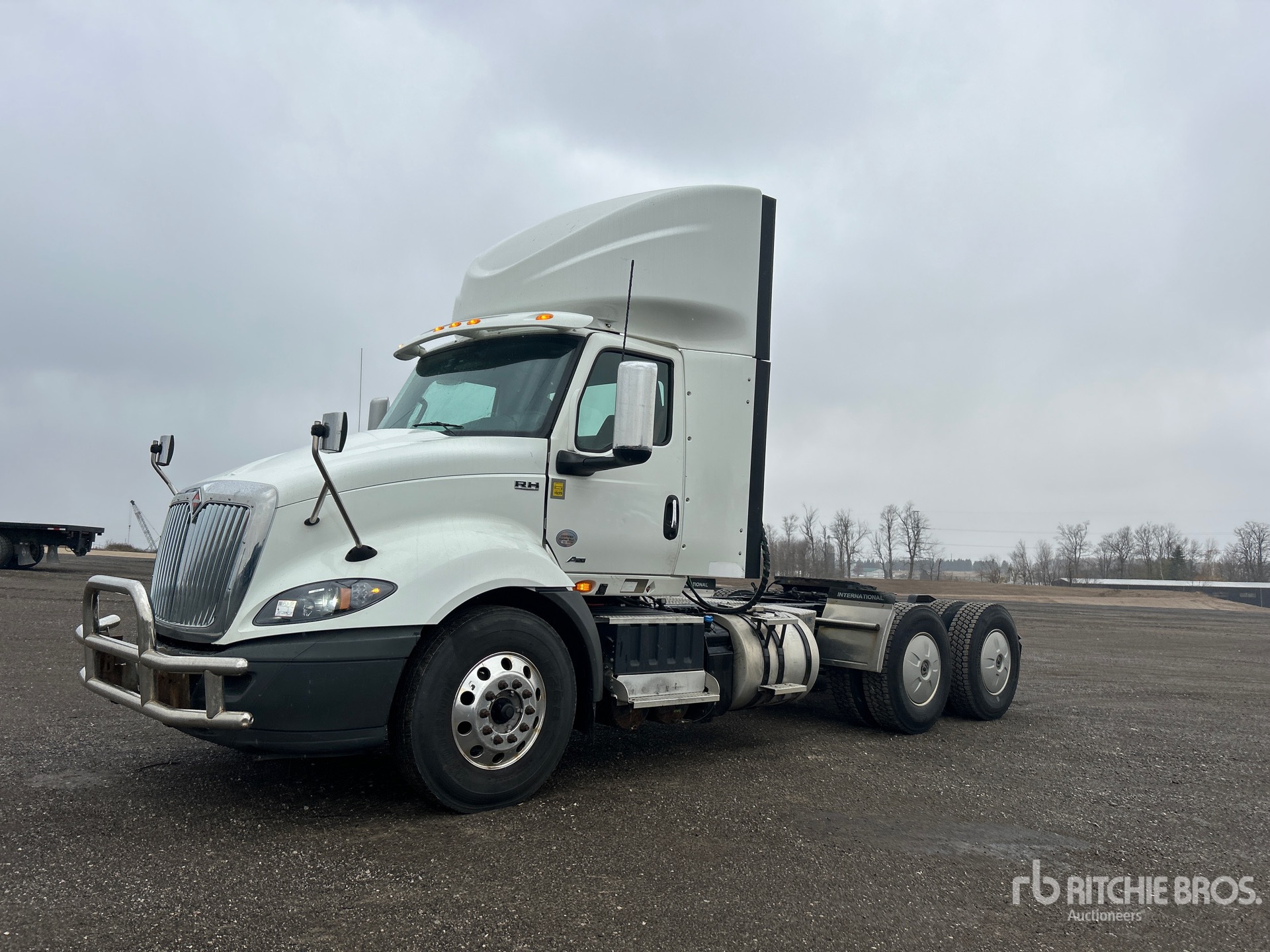 General Appearance with Spin