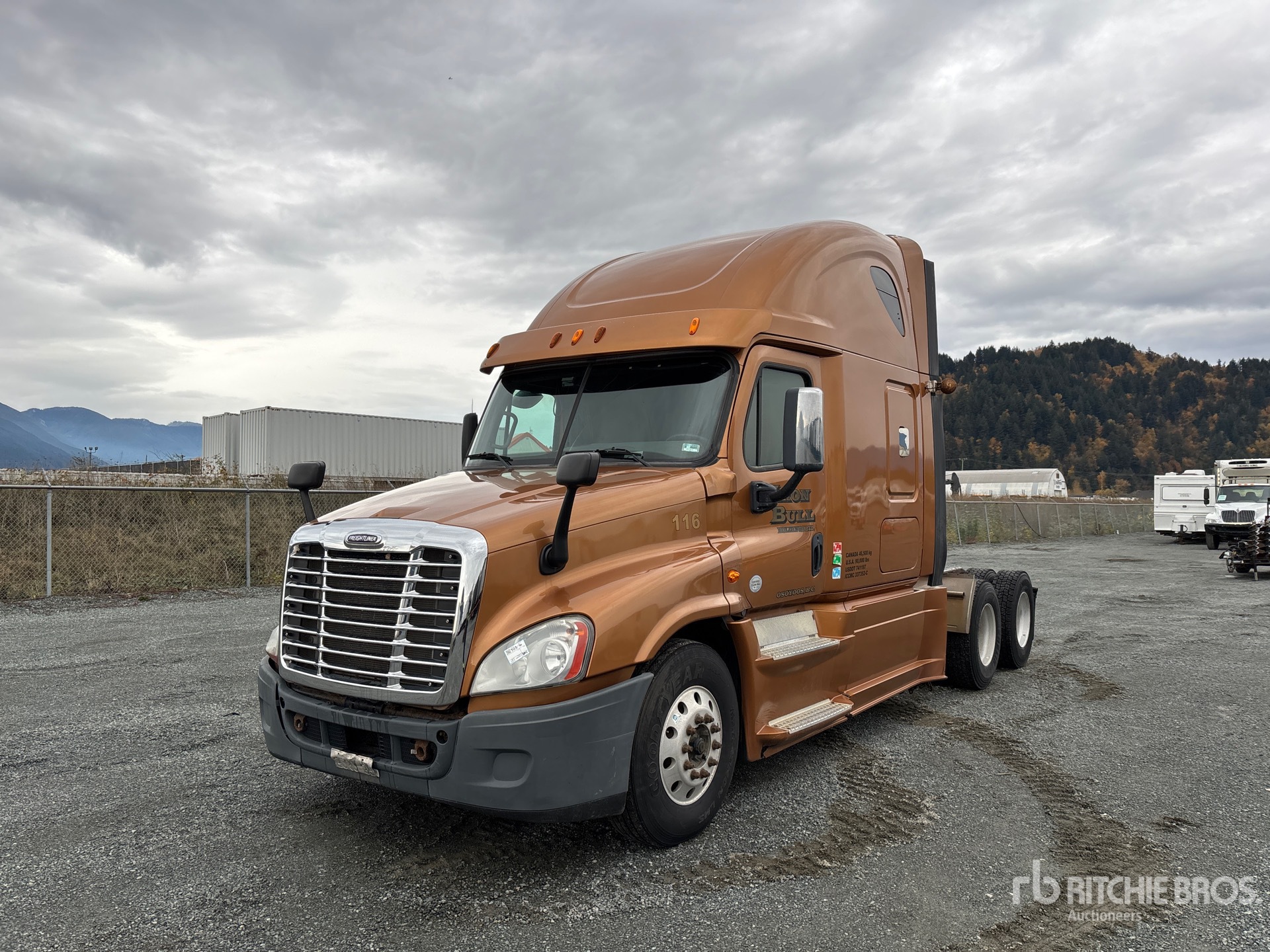 General Appearance with Spin