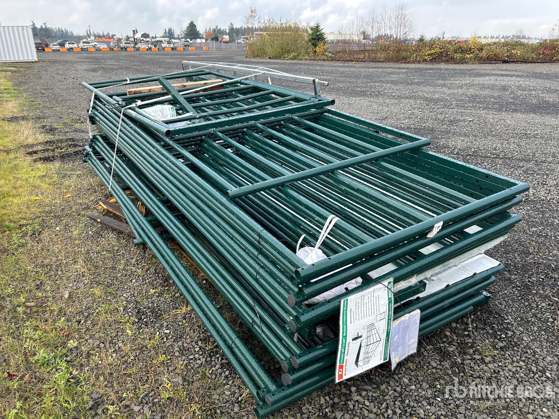 General Appearance with Zdjęcie, prawy dolny róg