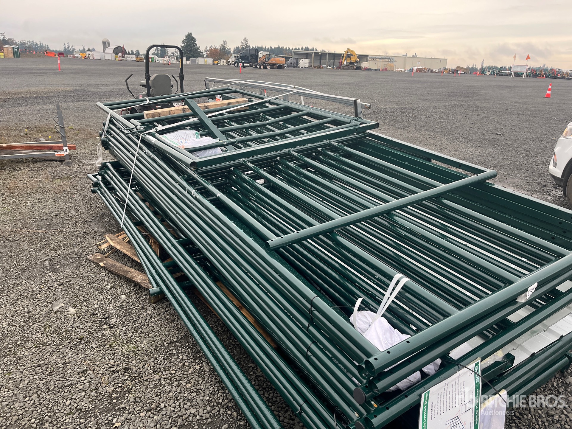 General Appearance with 