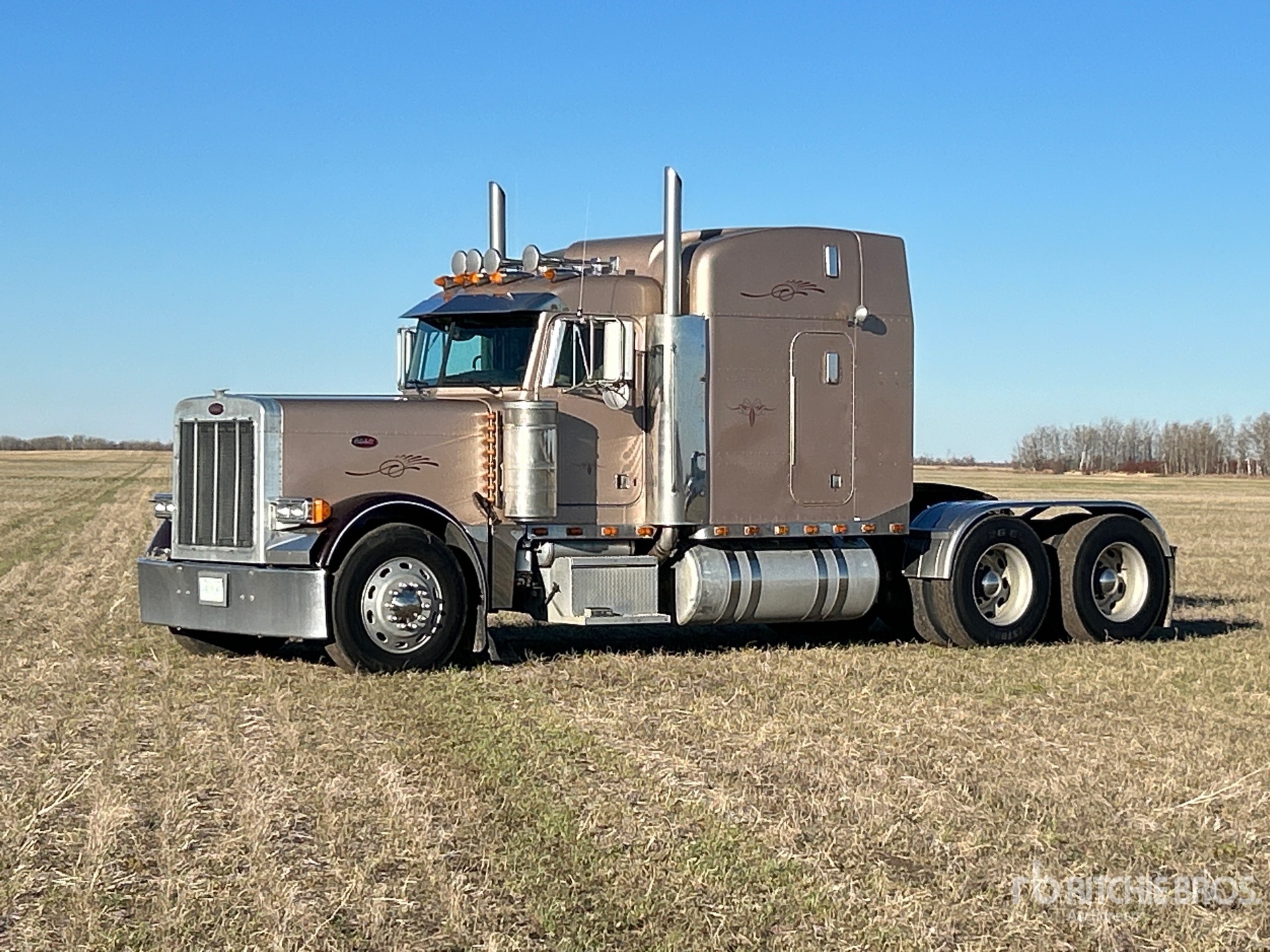 General Appearance with Bild, Ecke vorne links