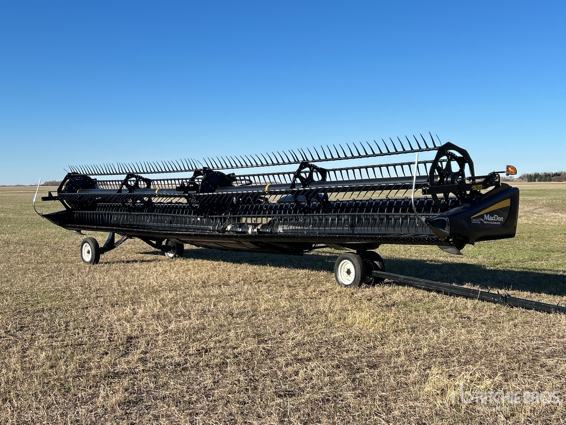 General Appearance with Bild, Ecke vorne links