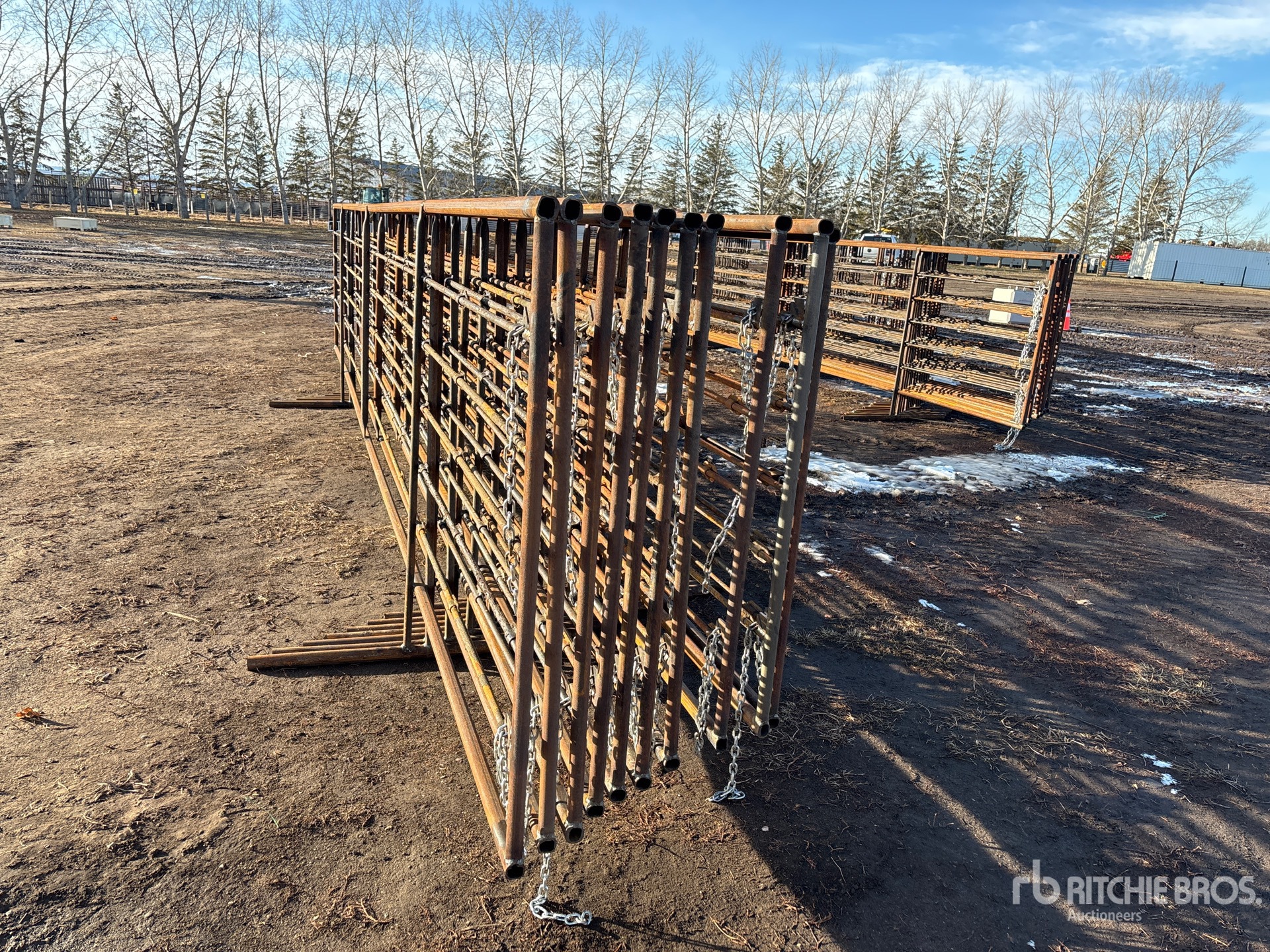 General Appearance with Zdjęcie, prawy dolny róg