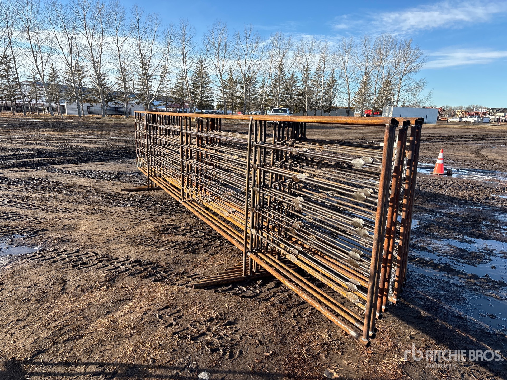 General Appearance with Zdjęcie, prawy dolny róg