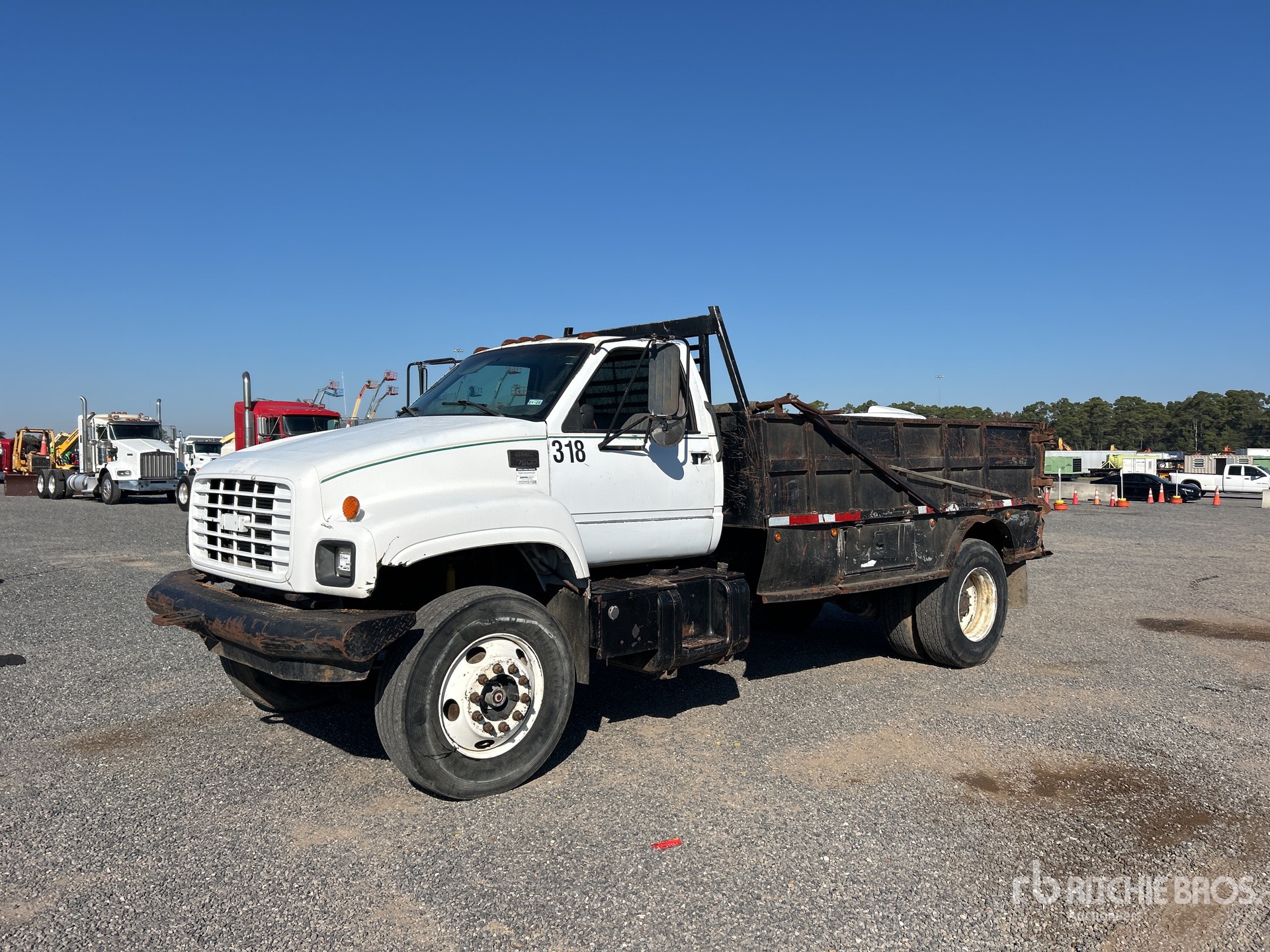 General Appearance with Spin