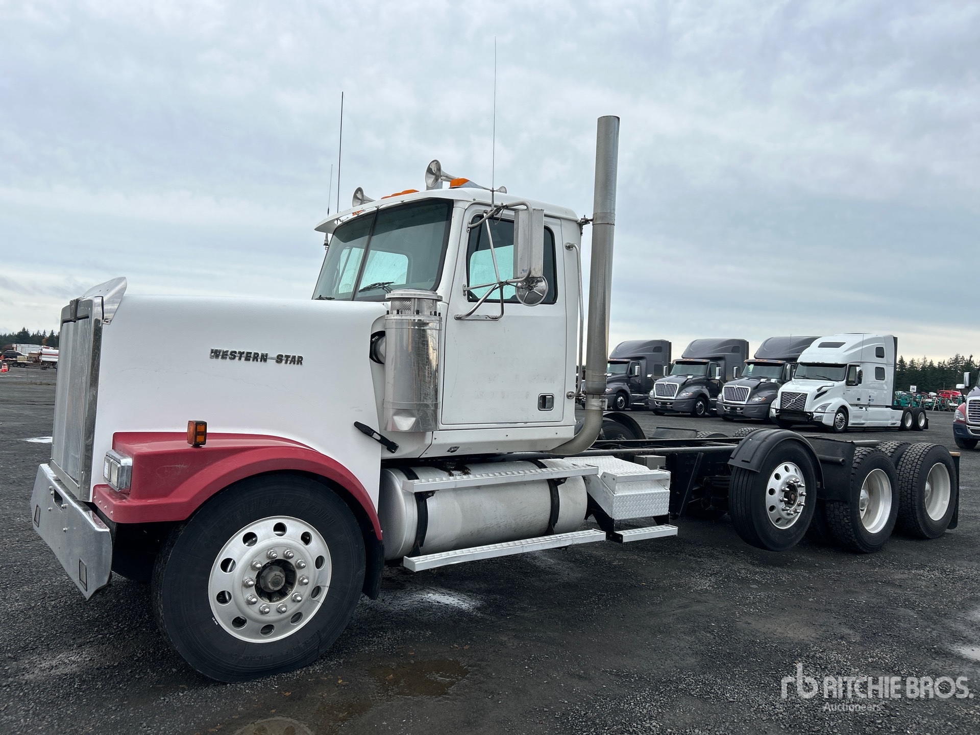 General Appearance with Spin