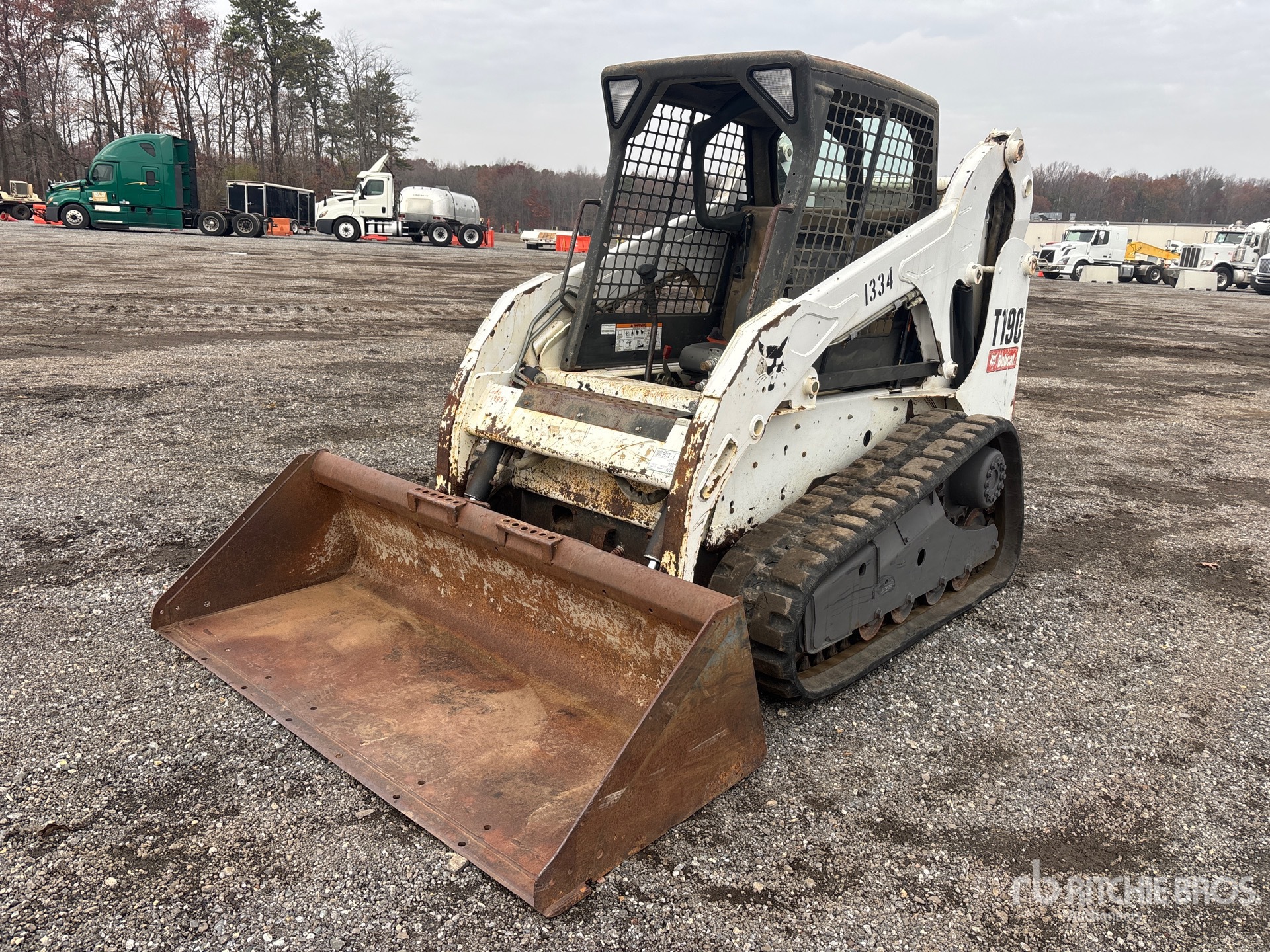 General Appearance with Spin